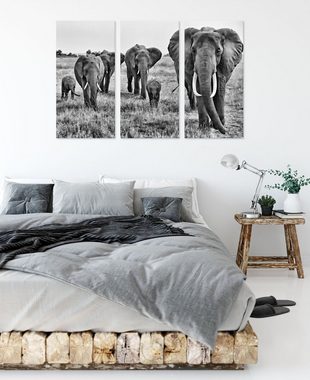 Pixxprint Leinwandbild große wandernde Elefantenhorde, große wandernde Elefantenhorde 3Teiler (120x80cm) (1 St), Leinwandbild fertig bespannt, inkl. Zackenaufhänger