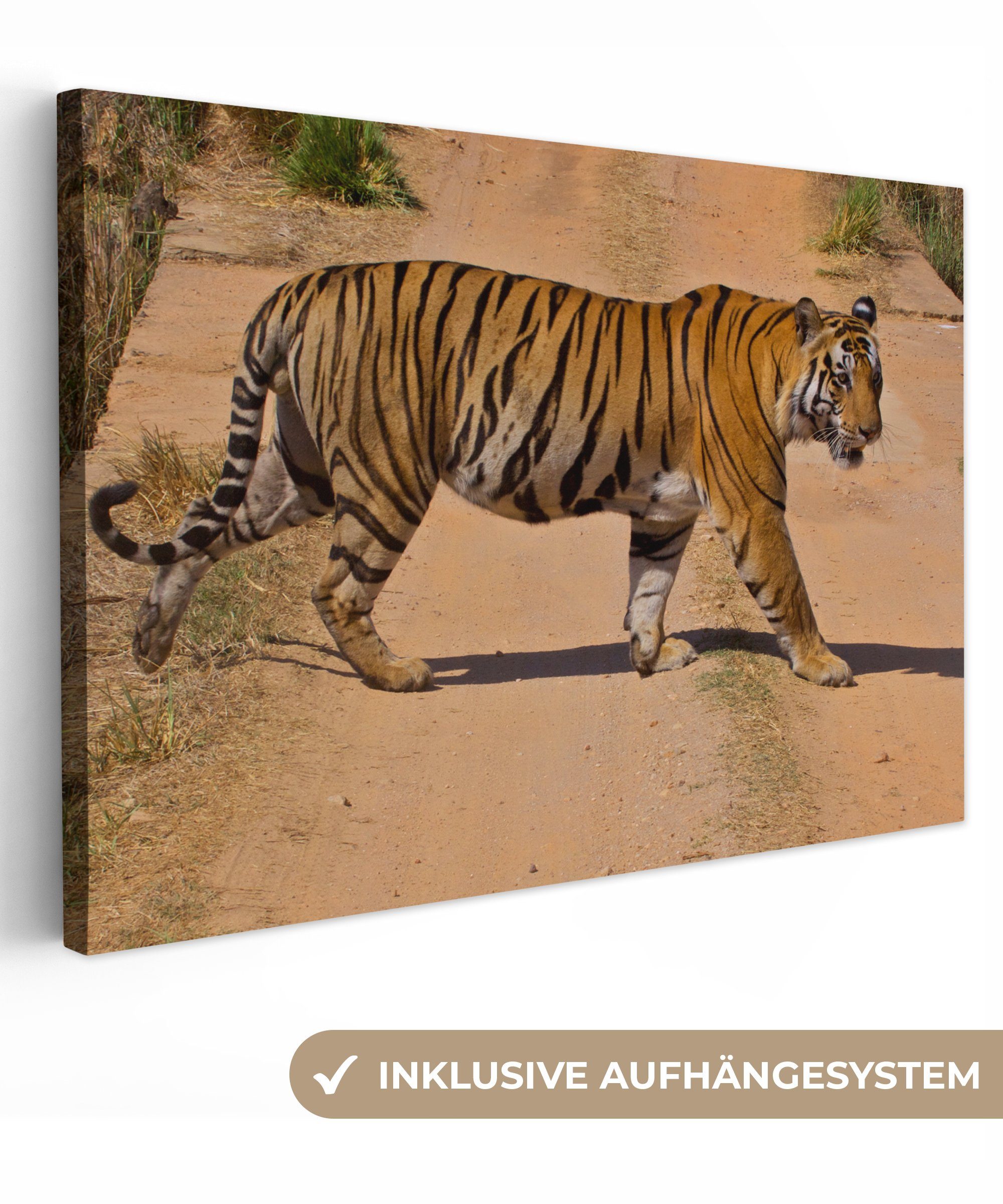 Wanddeko, - cm Auswärts OneMillionCanvasses® Leinwandbilder, St), (1 30x20 Tiger Leinwandbild - Wandbild bunt Aufhängefertig, Laufen,