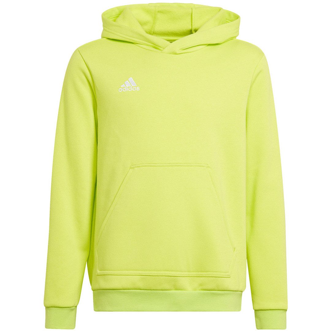 adidas Performance Kapuzensweatshirt Entrada 22