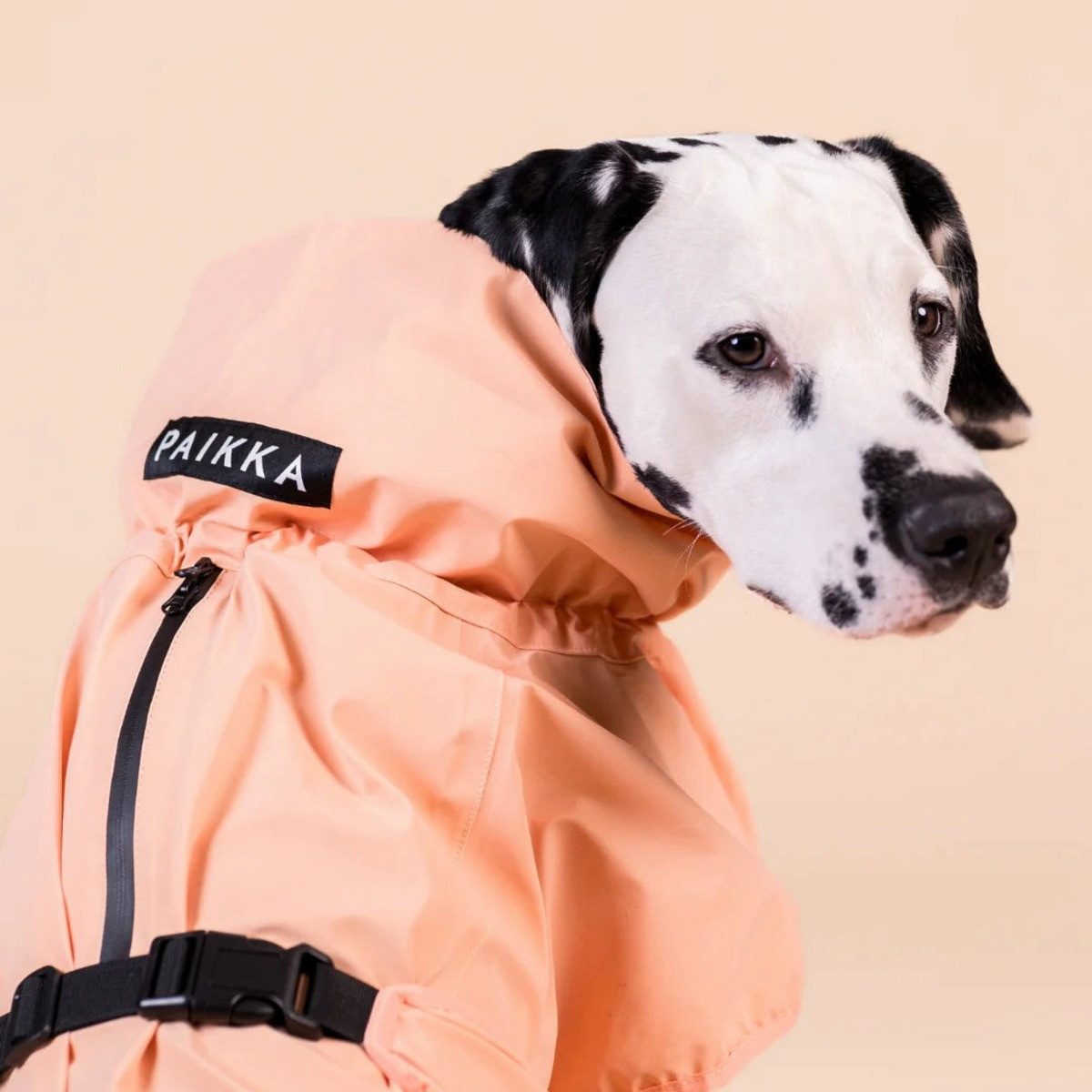 PAIKKA Hunderegenmantel Hunde Regenmantel reflektierend "Visibility Raincoat" pfirsich