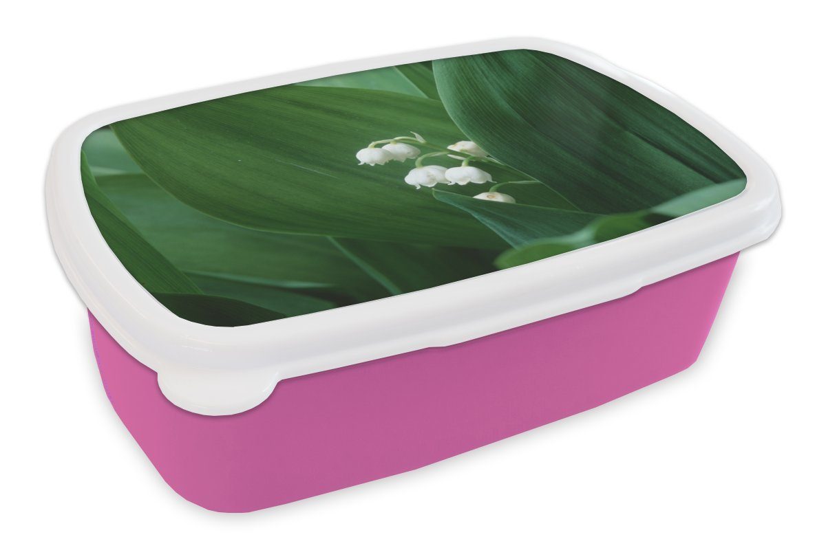 MuchoWow Lunchbox Die dunkelgrünen Blätter um die Lilie von Dalen, Kunststoff, (2-tlg), Brotbox für Erwachsene, Brotdose Kinder, Snackbox, Mädchen, Kunststoff rosa