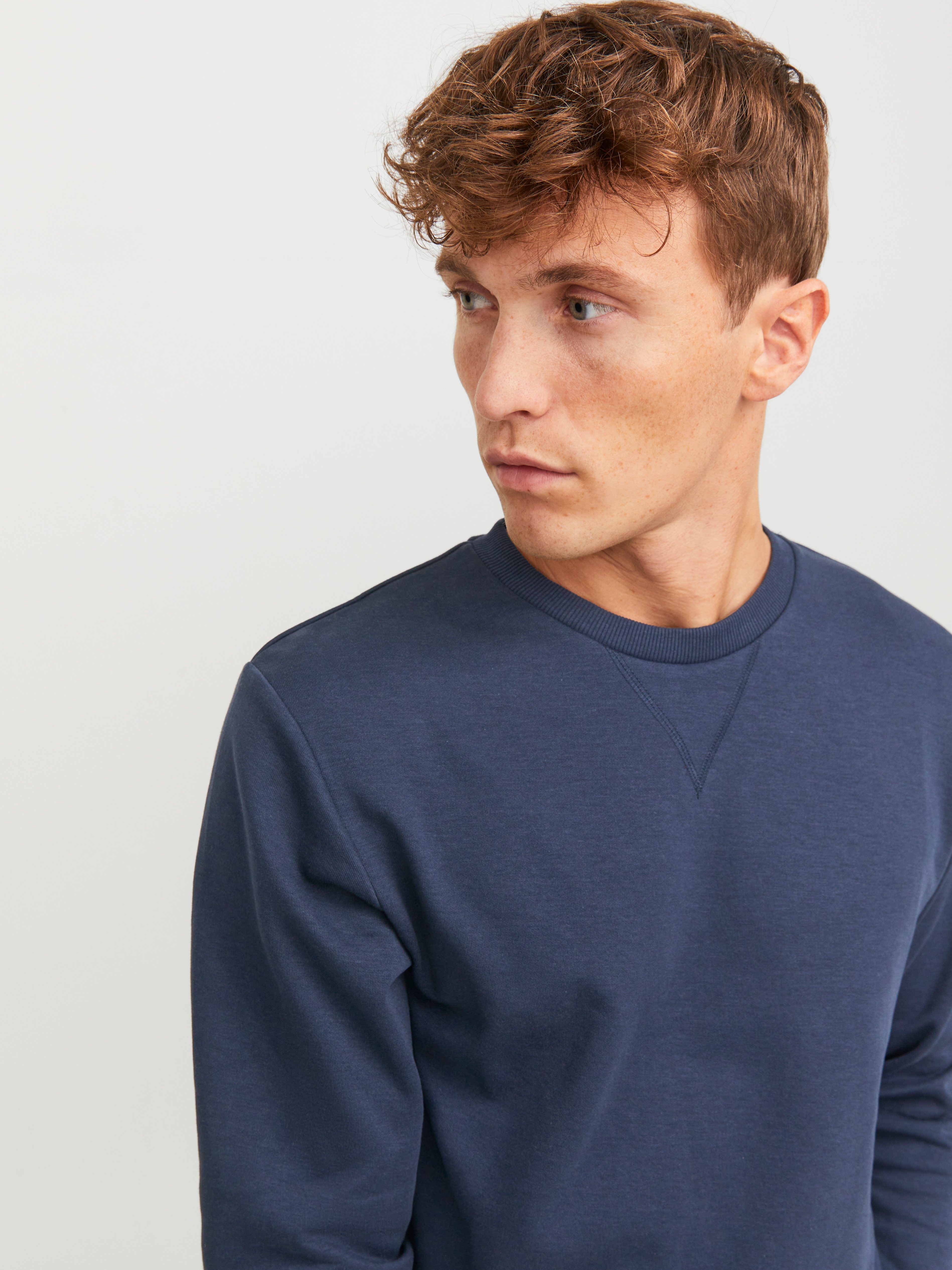 Jack & Jones Sweatshirt JJEBASIC mit Flaglabel und weicher Baumwollmischung unifarben, modisch, regular fit, Baumwolle, Rundhals