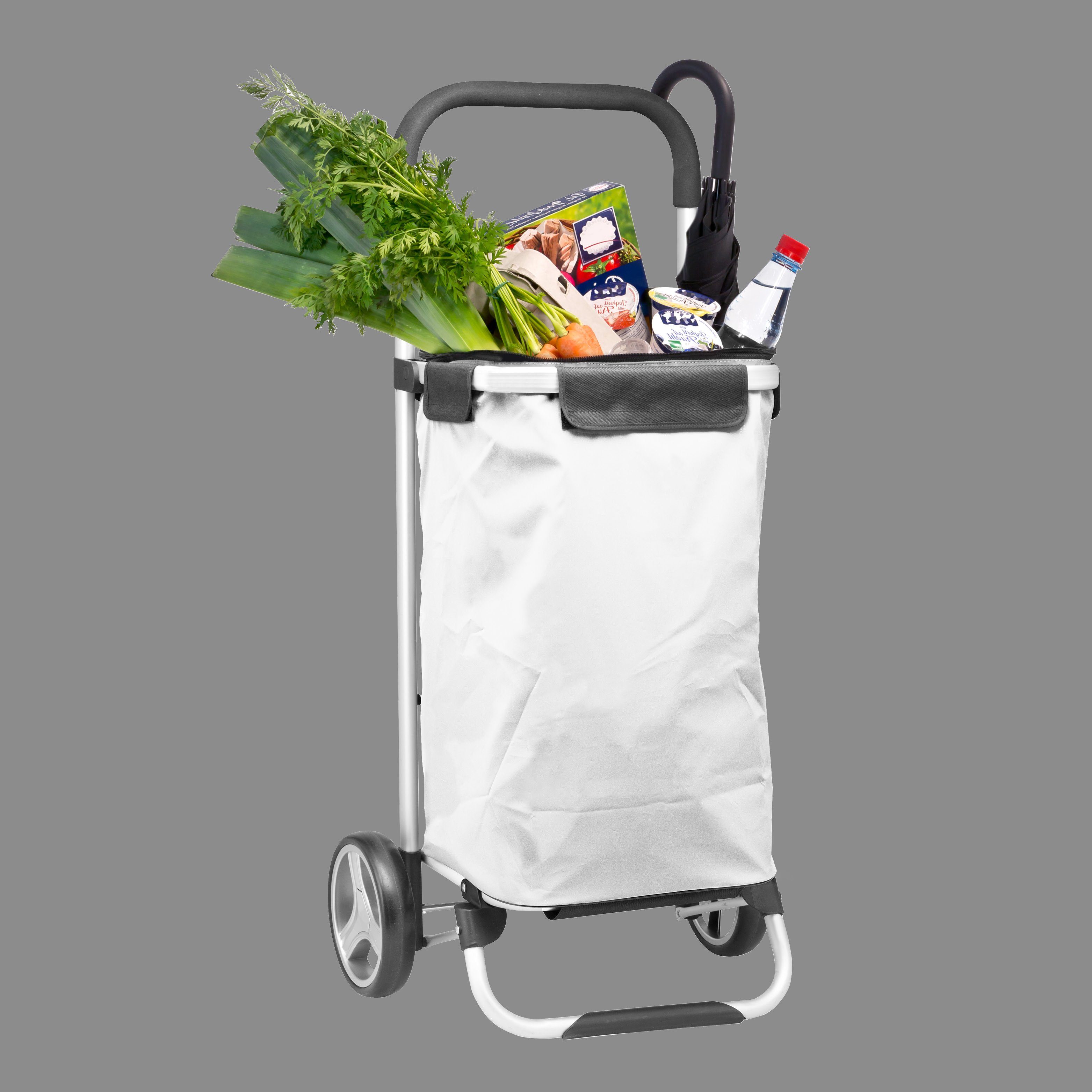 bremermann Einkaufstrolley bremermann Einkaufstrolley BRINKUM, Handwagen, Einkaufswagen mit abneh, 45 l, Tasche abnehmbar