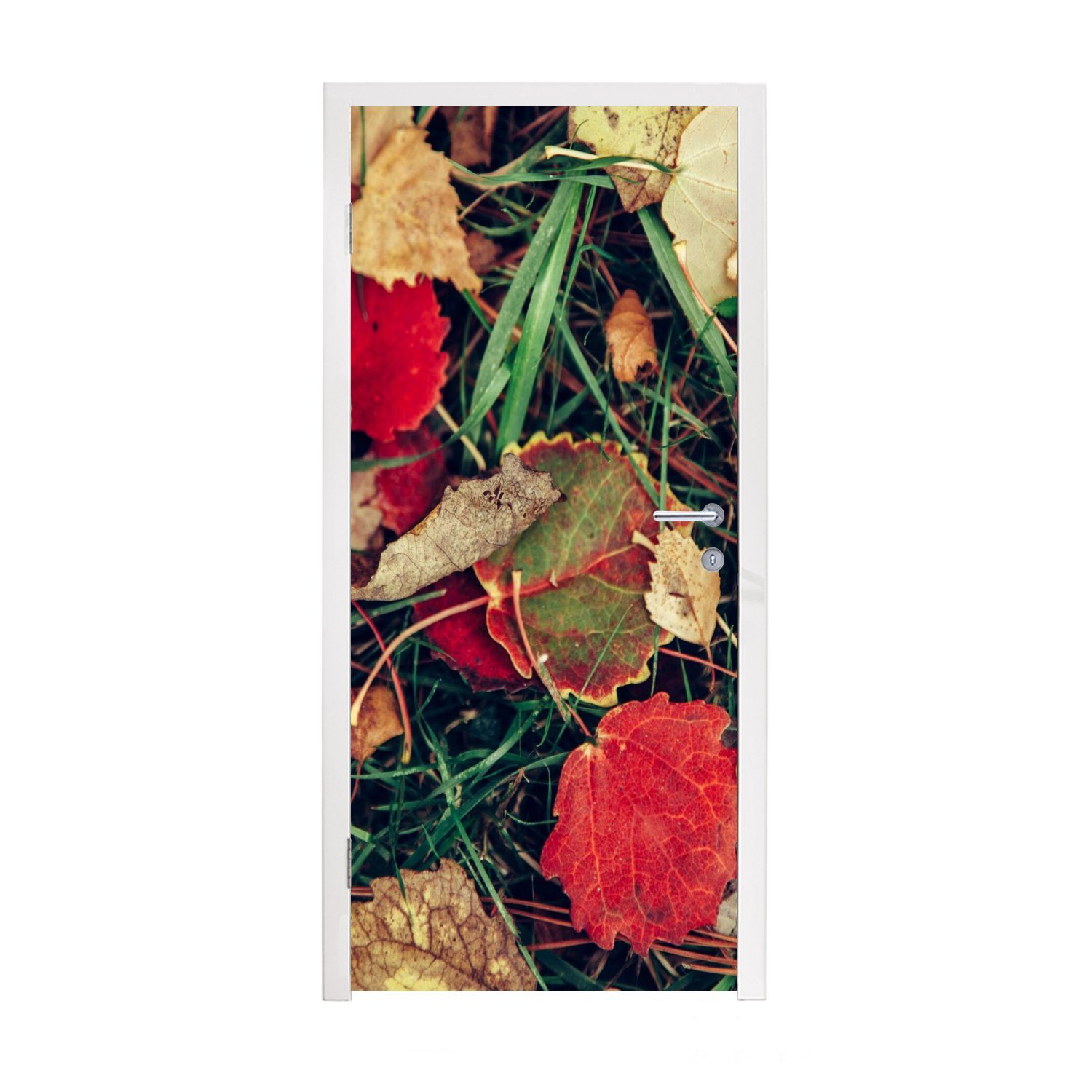 MuchoWow Türtapete November (1 bedruckt, Blätter Fototapete Herbst Türaufkleber, cm für St), - - 75x205 - Natur, Matt, Tür