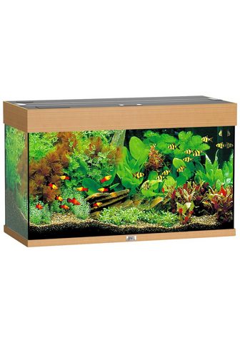 Аквариум »Rio 125 LED« 125...
