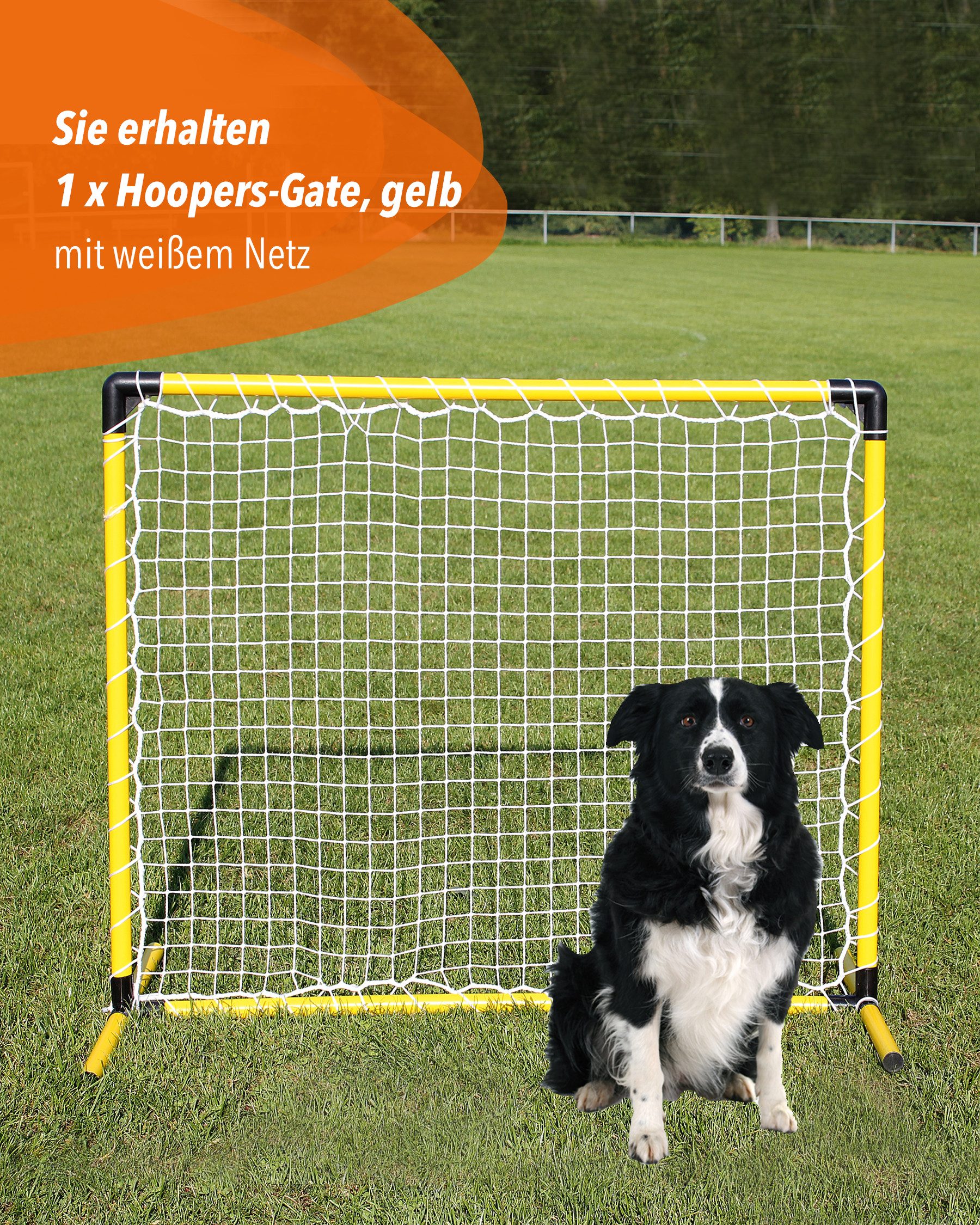 Superhund Outdoor-Spielzeug Hoopers Gate aus Kunststoff, mit weißem Netz, Farbe Gelb, Kunststoff