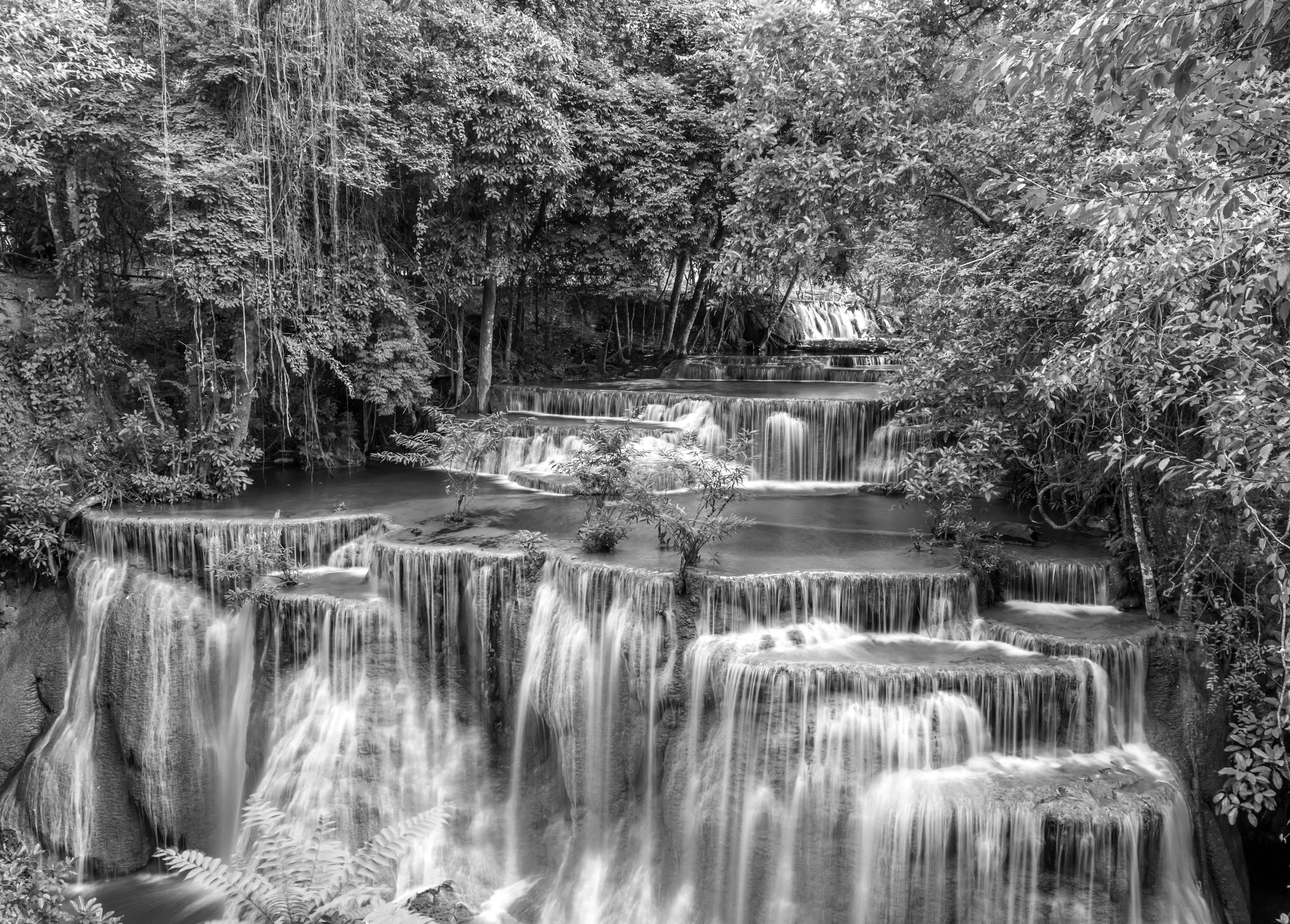 Papermoon Fototapete Wasserfall im Wald & Schwarz Weiß