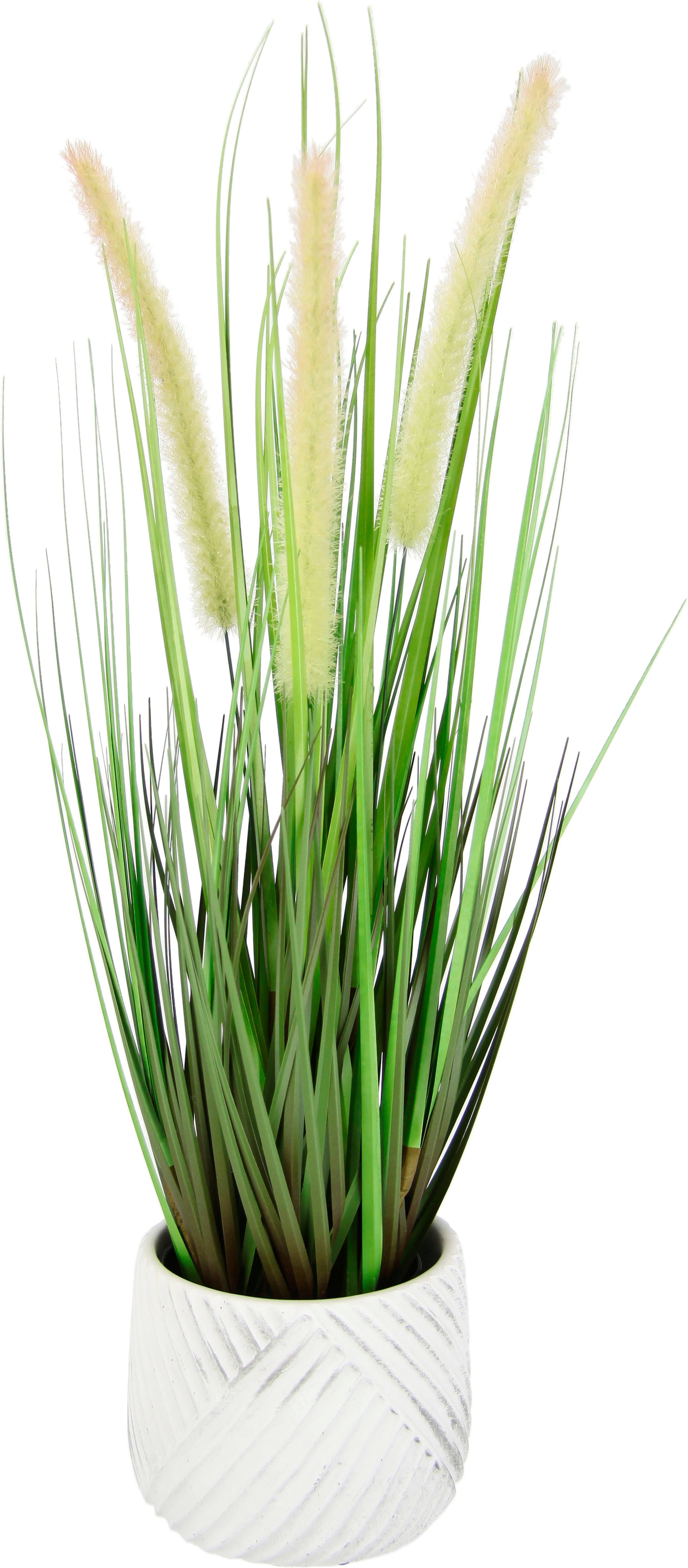 Kunstpflanze Fuchsschwanzgras, I.GE.A., Höhe 54 cm, günstig online kaufen