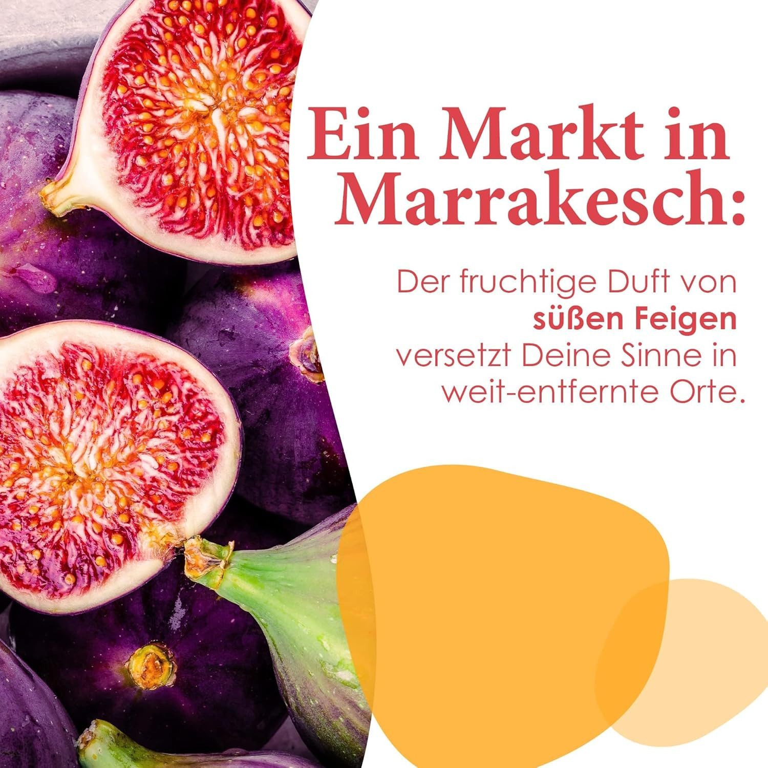 Jean & Len ohne Gedons* Duschgel Verwöhnende Creme-Öl Dusche Arganöl & Feige, 3-tlg., Vegan