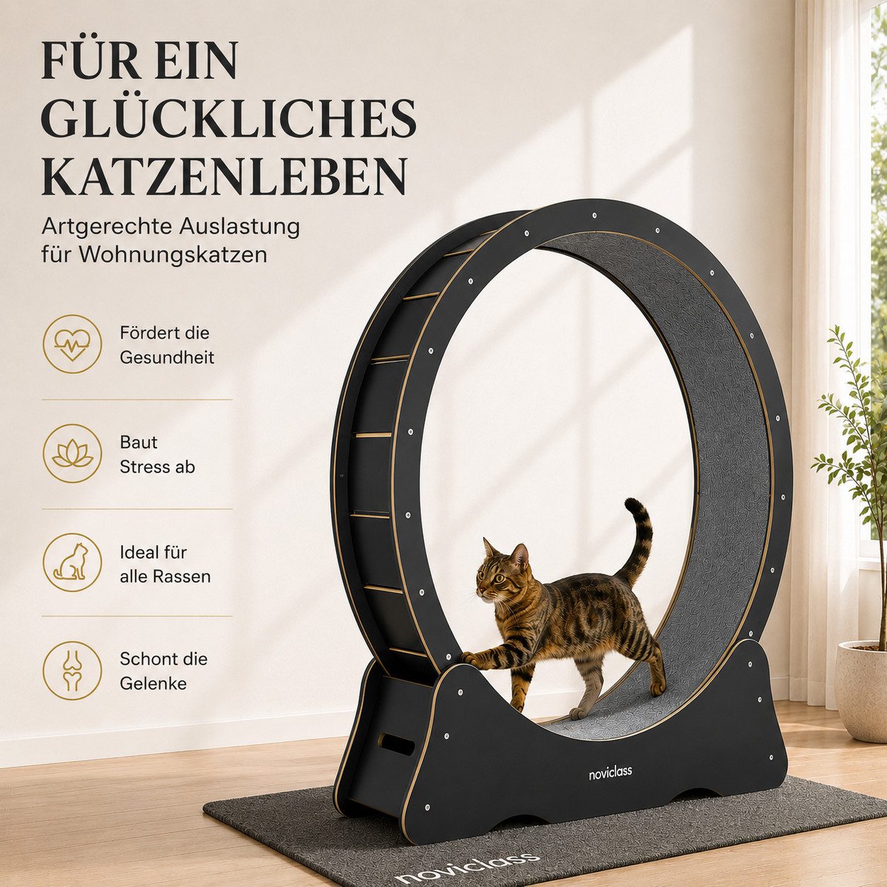 noviclass Tierlaufrad Katzenlaufrad 'Baghira' XXL Groß 120cm Innendurchmesser