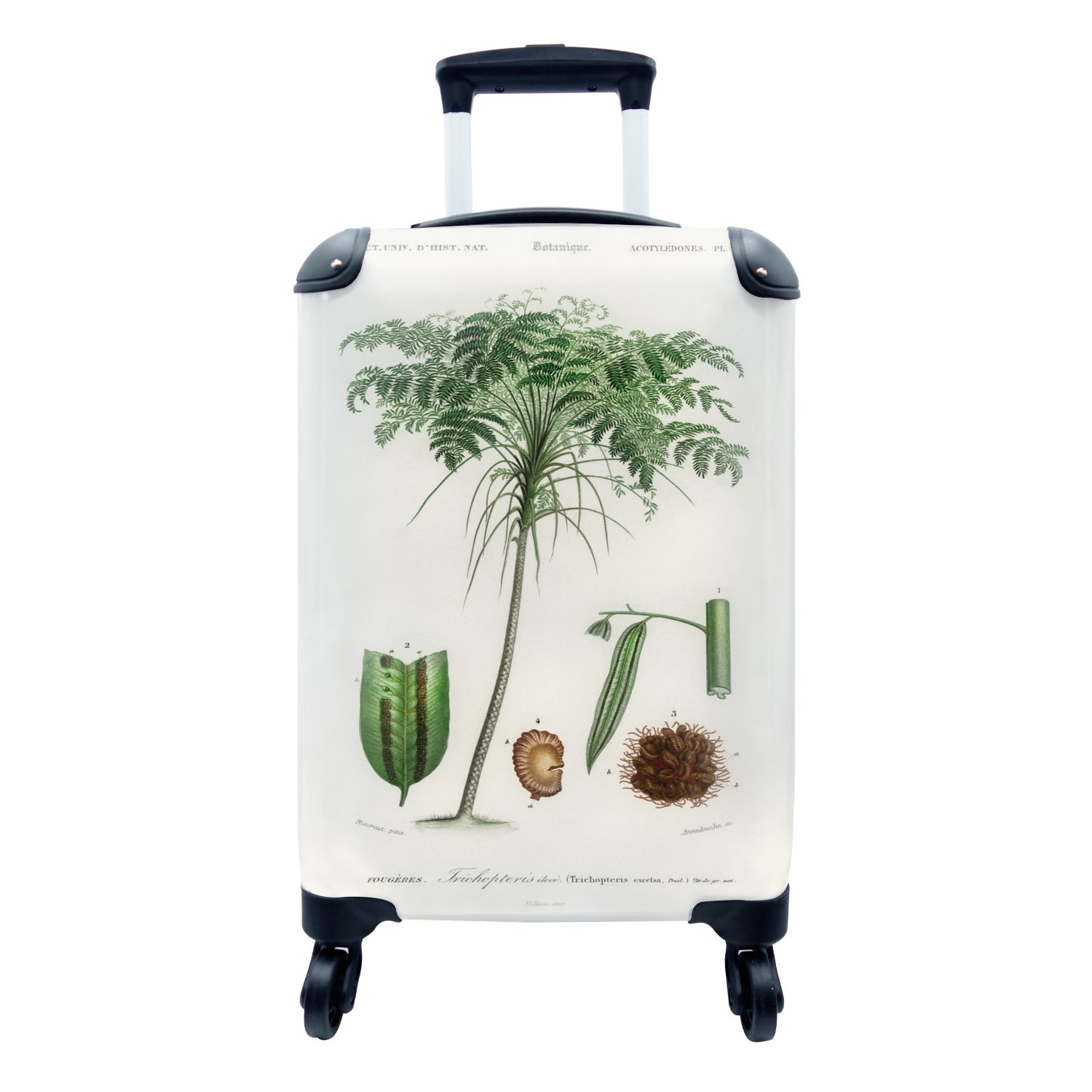 Reisetasche Vintage Reisekoffer mit 4 Handgepäckkoffer Trolley, - Handgepäck Baum rollen, MuchoWow für Saatgut, Rollen, Ferien, -