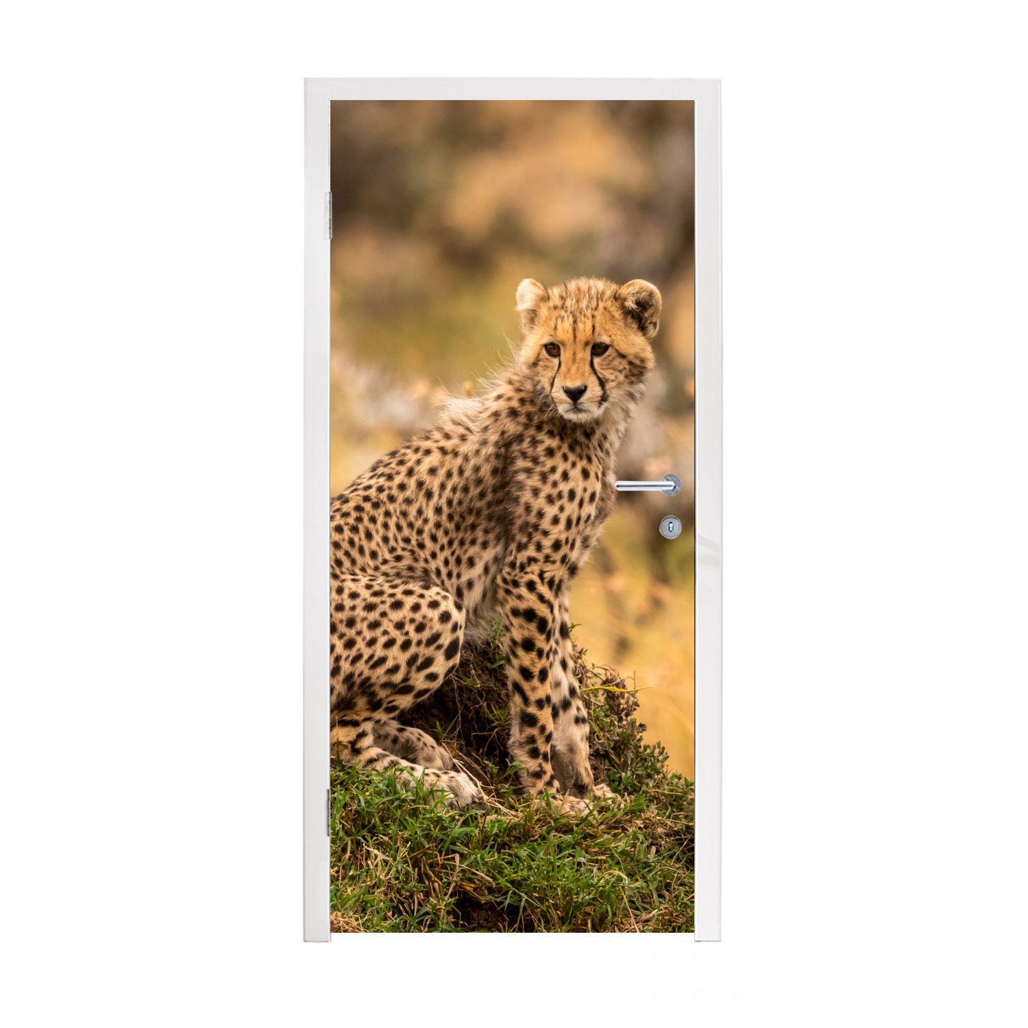 MuchoWow Türtapete Leopard - Wald - Tier, Matt, bedruckt, (1 St), Fototapete für Tür, Türaufkleber, 75x205 cm