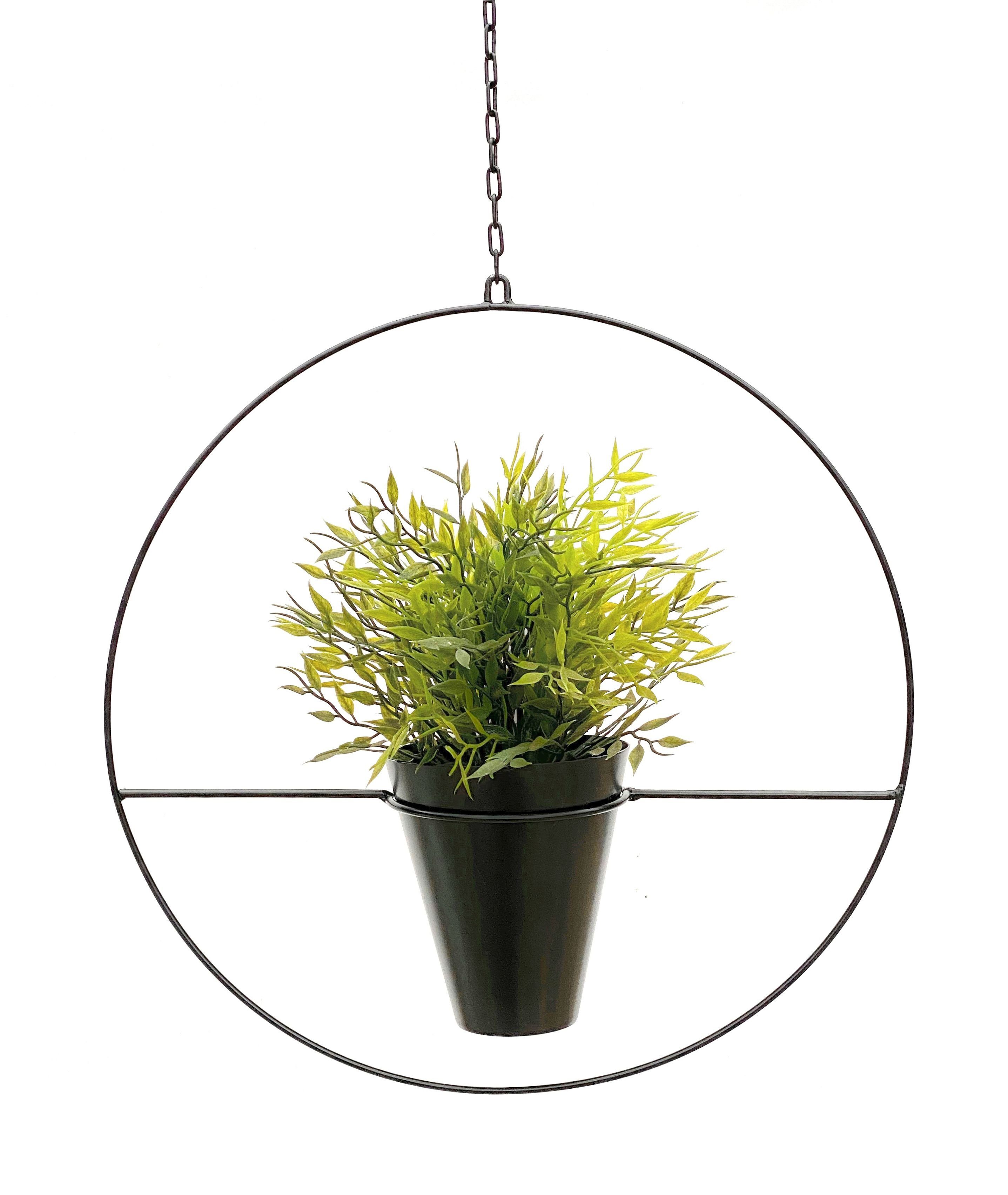 Blumenampel Innen Metall Wand Schwarz Matt Hängepflanzen Ø 40 cm KW446 mit Topf