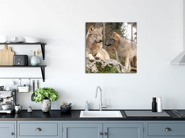 Pixxprint Glasbild Wölfe im Wald, Wölfe im Wald (1 St), Glasbild aus Echtglas, inkl. Aufhängungen und Abstandshalter
