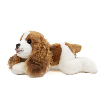 Teddys Rothenburg Kuscheltier Kuscheltier Hund Cavalier 30 cm liegend braun/weiß Plüschhund (Stoffhunde Plüschhund, Terrier Plüschtiere Stofftiere)