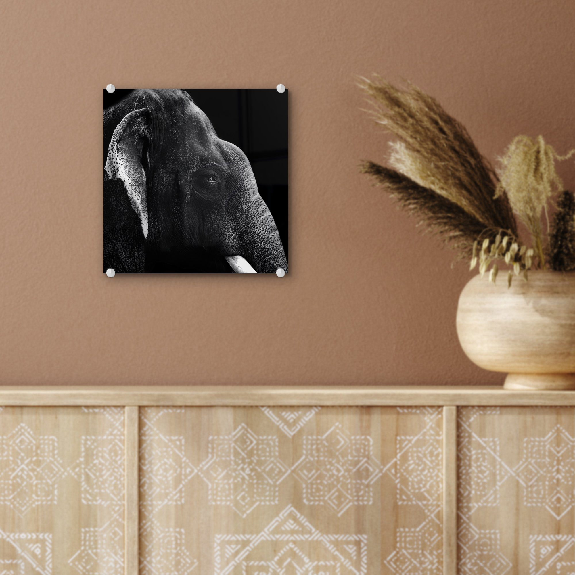 weiß, und St), (1 Acrylglasbild Elefant Wanddekoration in Bilder MuchoWow Glasbilder Hintergrund Glas Wandbild auf auf schwarzem - - Foto Glas auf - schwarz