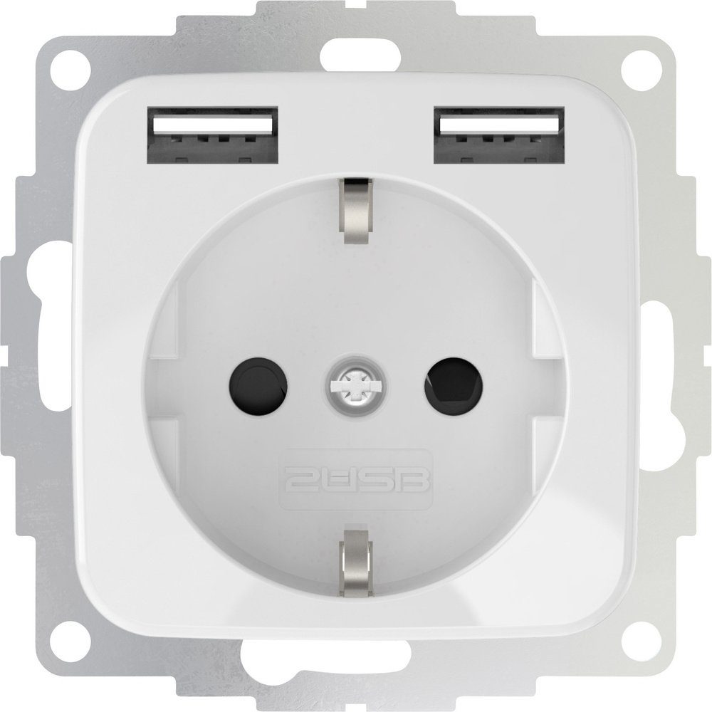 2USB Steckdose 2USB 2U-449375 Unterputz-Steckdose mit USB Reinweiß (glänzend)