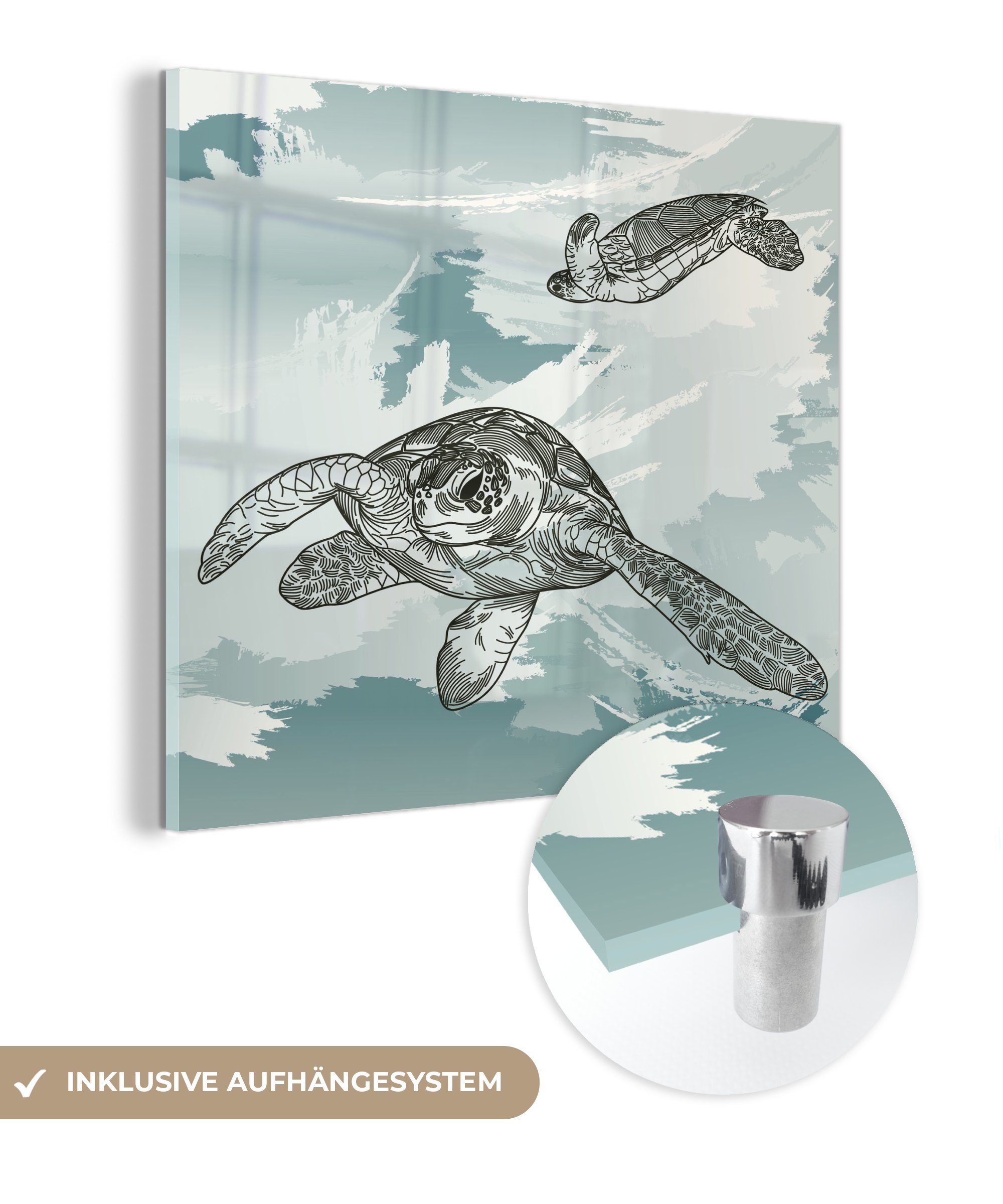 MuchoWow Acrylglasbild Zwei Schildkröten im auf - Glasbilder Foto (1 Wandbild auf Wasser, Wanddekoration Bilder Glas - Glas St), 