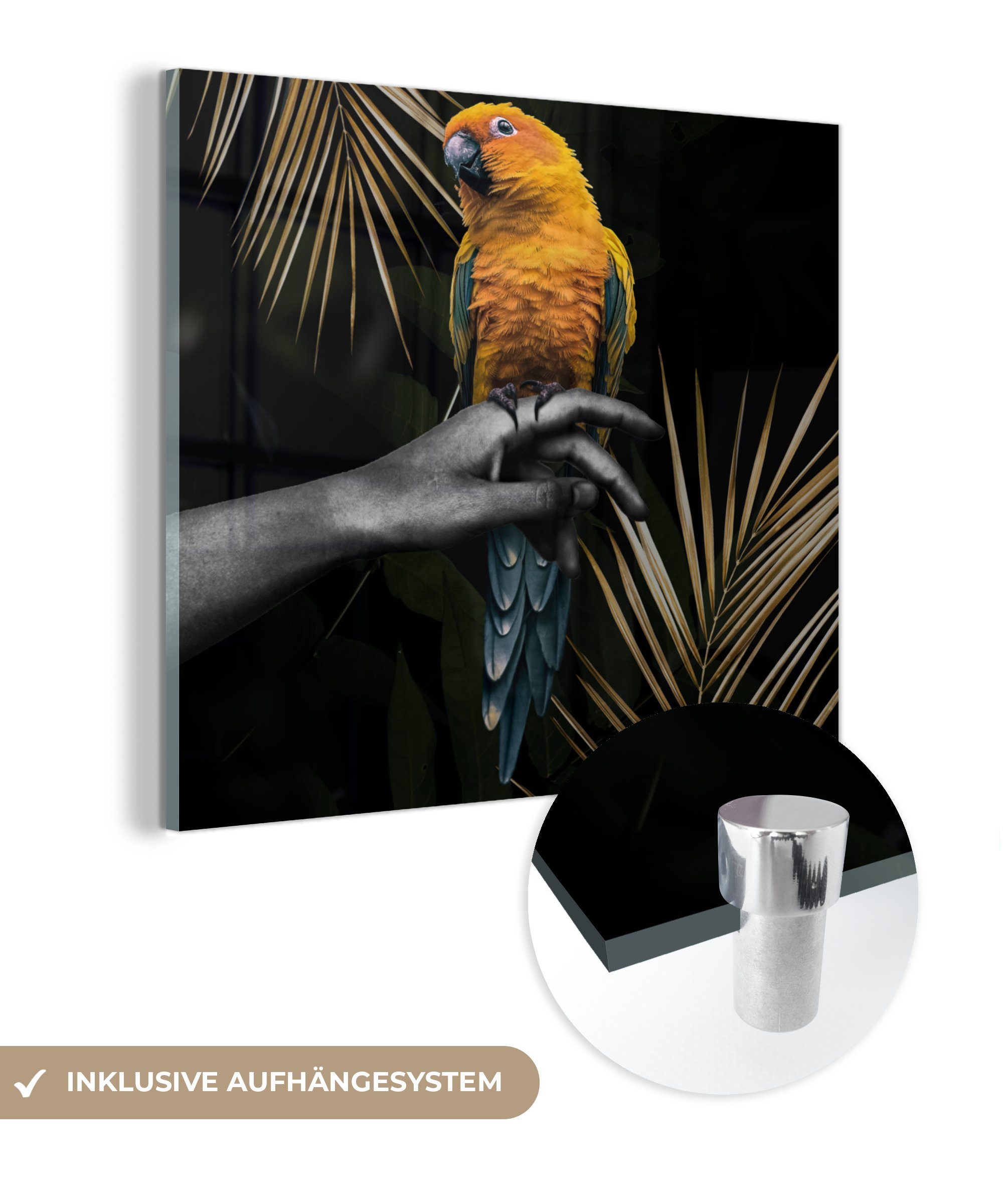 Foto Wanddekoration Acrylglasbild Glasbilder MuchoWow St), - - Glas Glas Wandbild - Vogel Hand Farn, Bilder - - Papagei - (1 auf auf