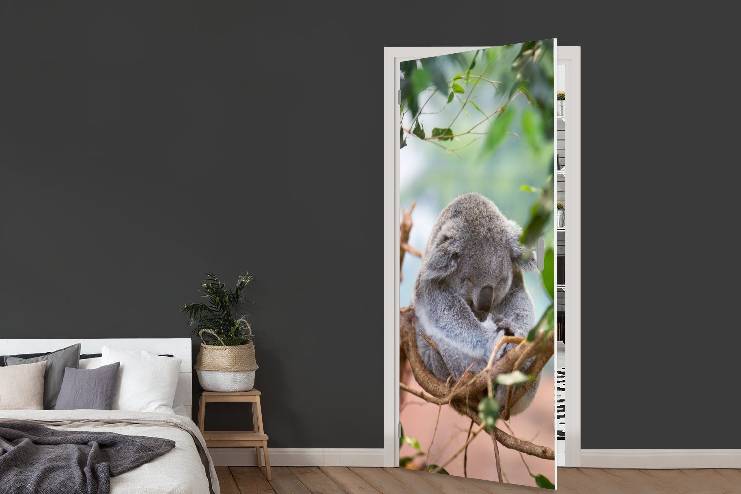 MuchoWow Türtapete Koala - Zweige 75x205 cm Jungen Tür, Kinder Fototapete Mädchen, bedruckt, - Matt, - - St), (1 Türaufkleber, für
