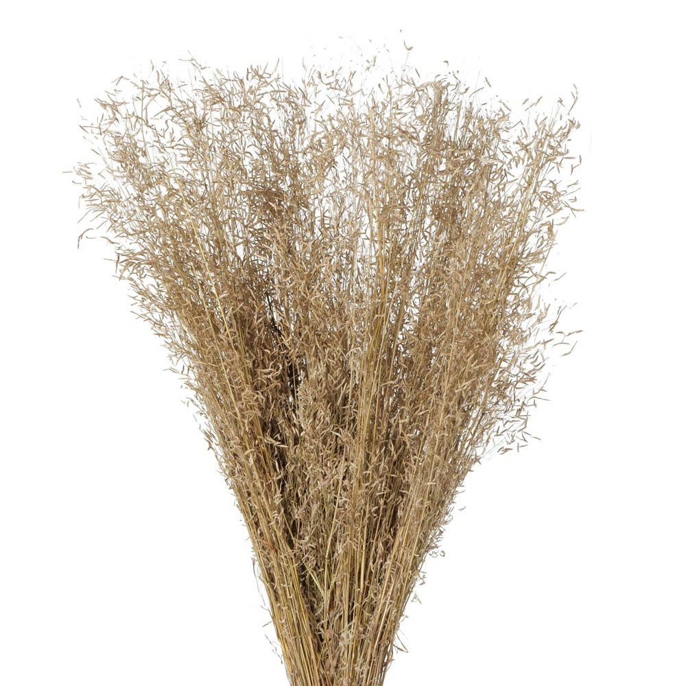 Kunstgras Dekogräser NATUR beige tropisches Gras Bündel H70cm Naturdeko Trockenblumen, BOLTZE. € 4,95