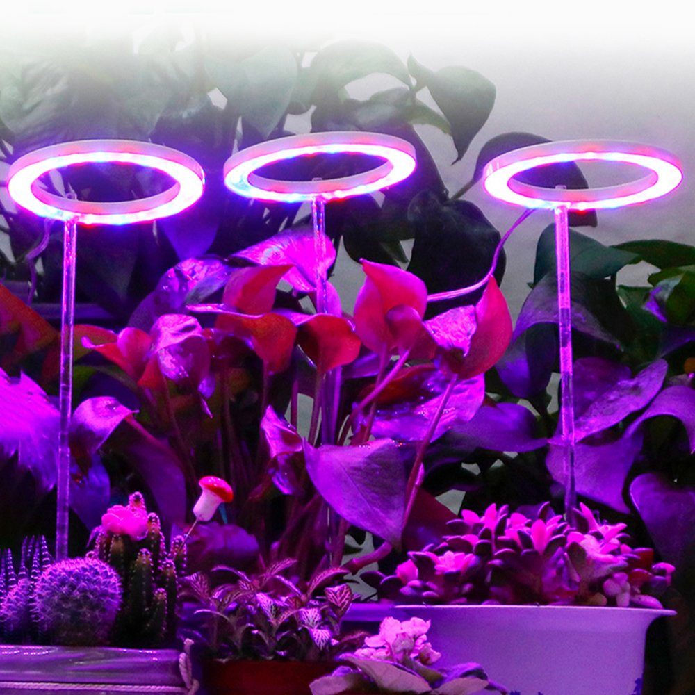 Ringlicht-Kopf,Vollspektrum,dimmbares,für Blau, 1-4 Rosnek Timer,USB Pflanzenlampe Rot Sonnenlicht, Indoor-Pflanzen, Rosa,
