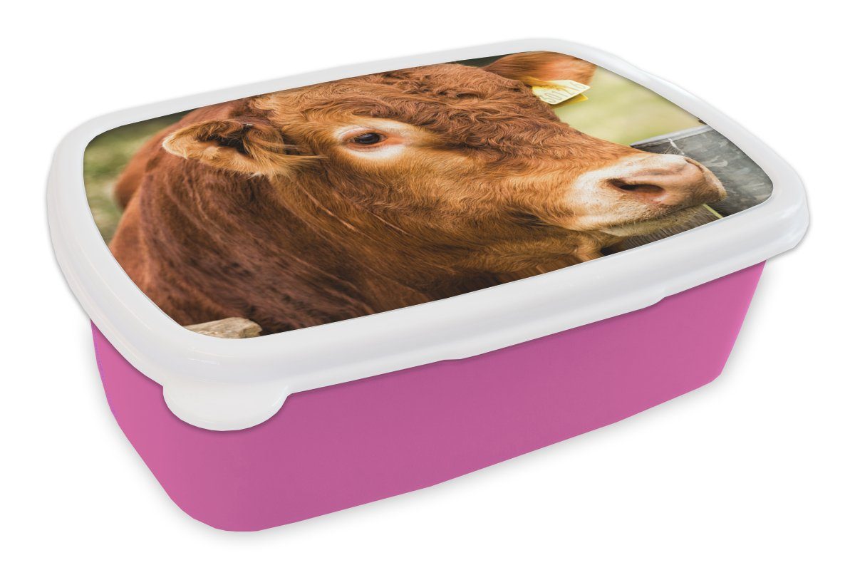 MuchoWow Lunchbox Schottischer Highlander - Berg - Zaun, Kunststoff, (2-tlg), Brotbox für Erwachsene, Brotdose Kinder, Snackbox, Mädchen, Kunststoff rosa