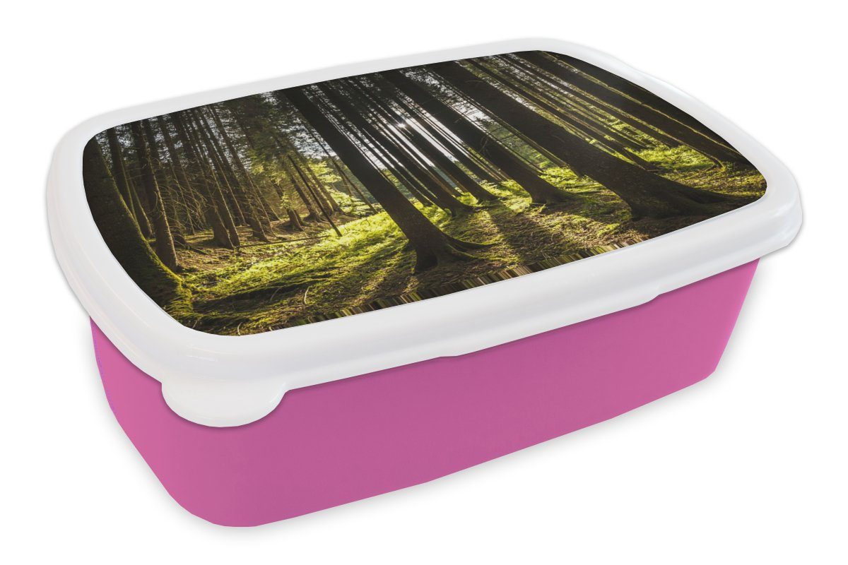 Höchste Priorität MuchoWow Lunchbox - Baum (2-tlg), Brotdose - für Snackbox, Kinder, Brotbox Kunststoff, - Kunststoff Erwachsene, Mädchen, Wald, Natur Sonne rosa