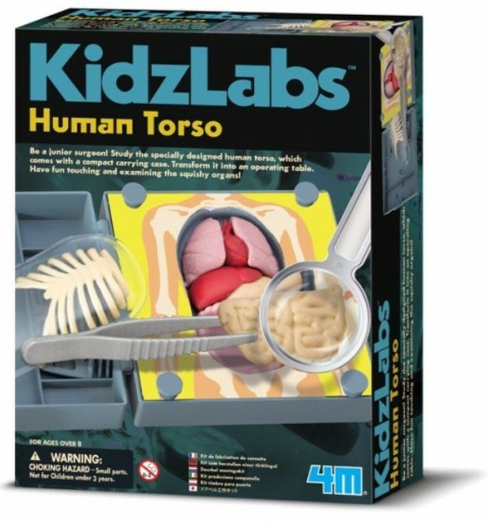 4M Experimentierkasten Kidz Labs - Human Torso