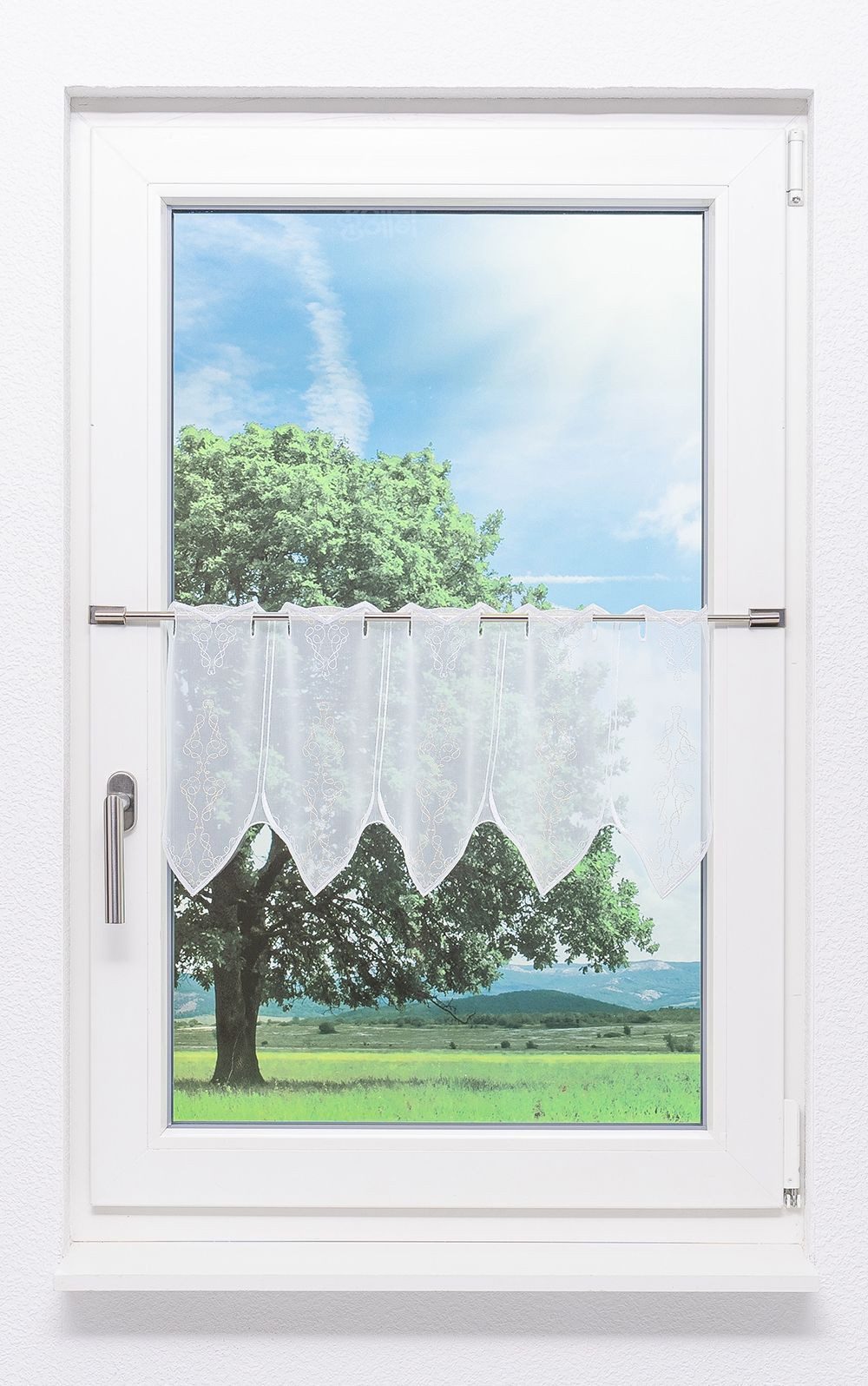 Plauener Spitze® Scheibengardine Kringel (1 St), transparent, HxB 30x48.6cm