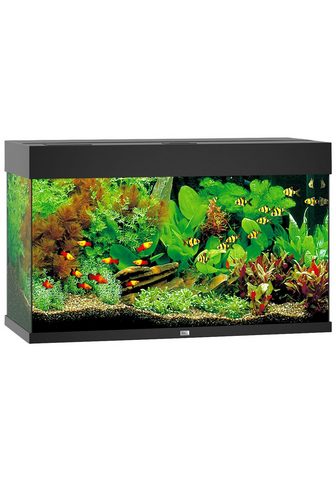 Аквариум »Rio 125 LED« 125...