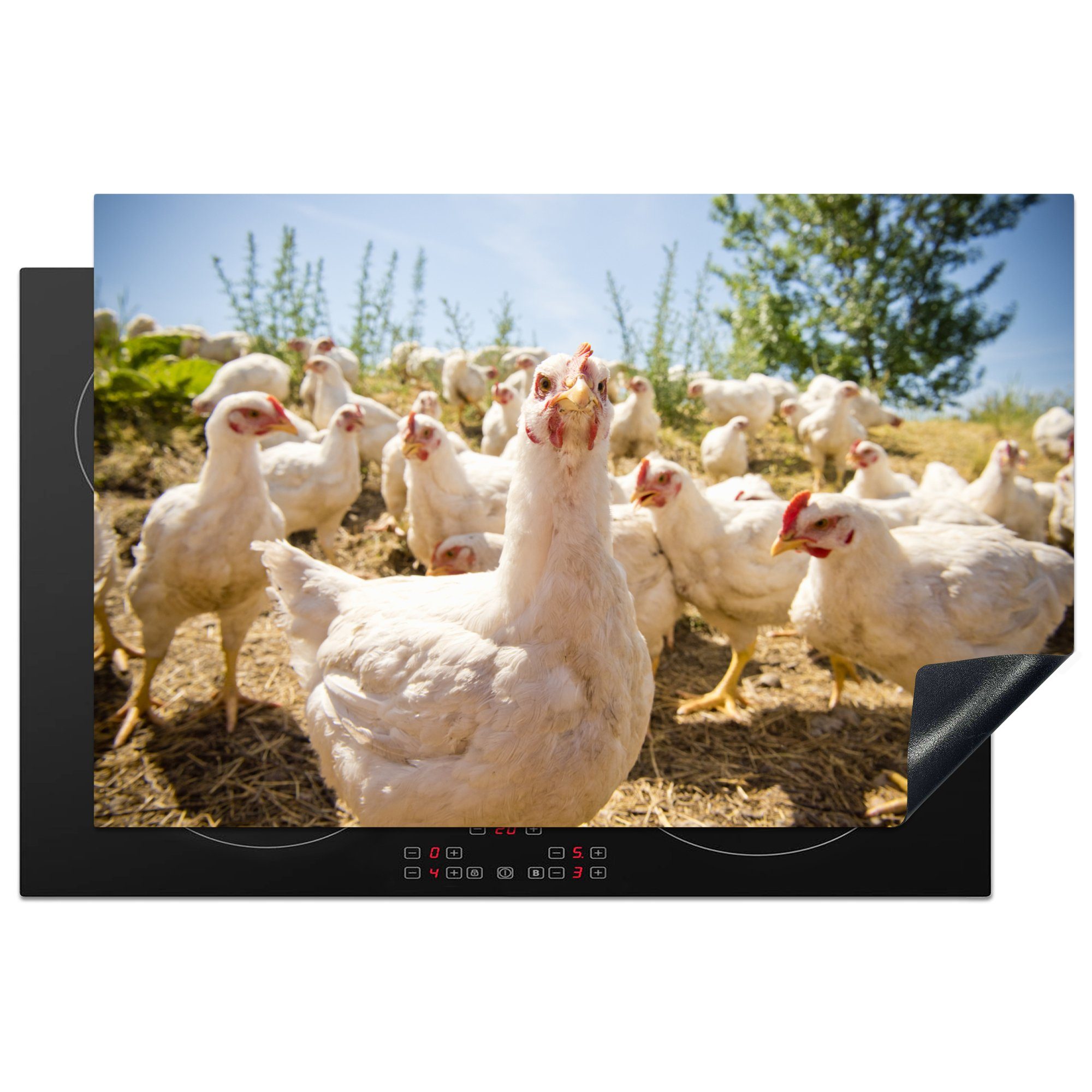 MuchoWow Herdblende-/Abdeckplatte Hühner im Freiland, Vinyl, (1 tlg), 81x52 cm, Induktionskochfeld Schutz für die küche, Ceranfeldabdeckung