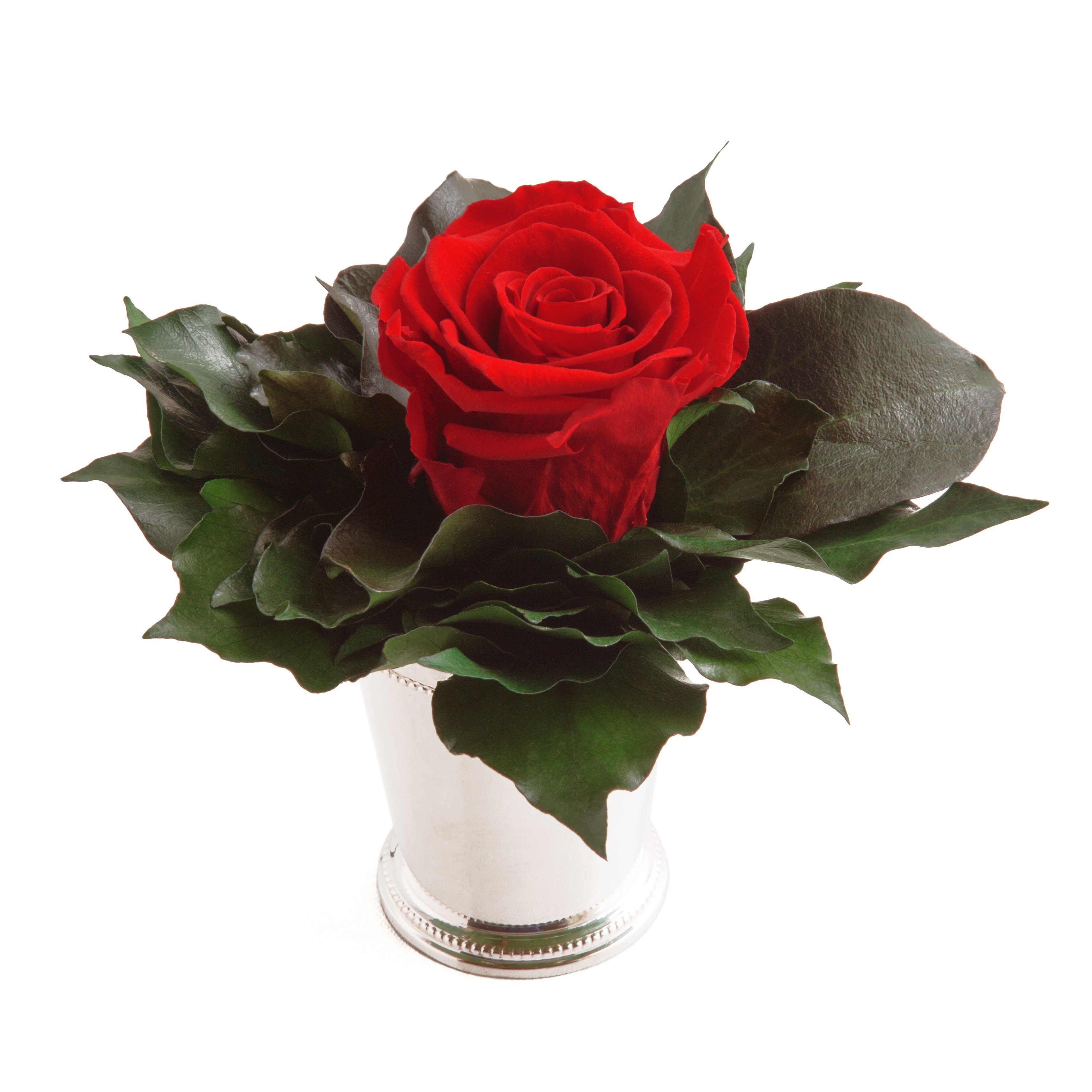 lange Rose, Heidelberg, Künstliche Frauen Rot Rose Zimmerpflanze Infinity haltbar 1 Geschenkidee cm, Höhe 12 silberfarben ROSEMARIE für SCHULZ Becher Echte Blume