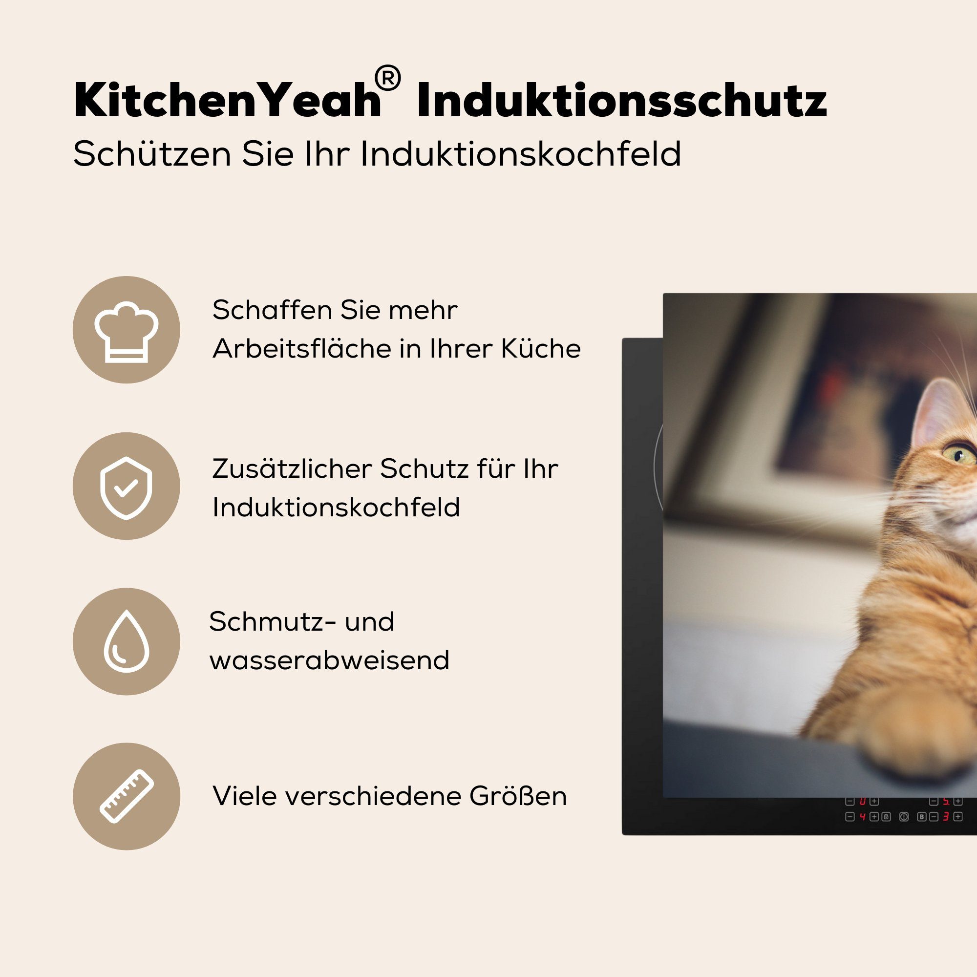 Katze die küche, cm, Bank - Ceranfeldabdeckung 81x52 Orange, Schutz - Vinyl, Induktionskochfeld (1 MuchoWow tlg), für Herdblende-/Abdeckplatte