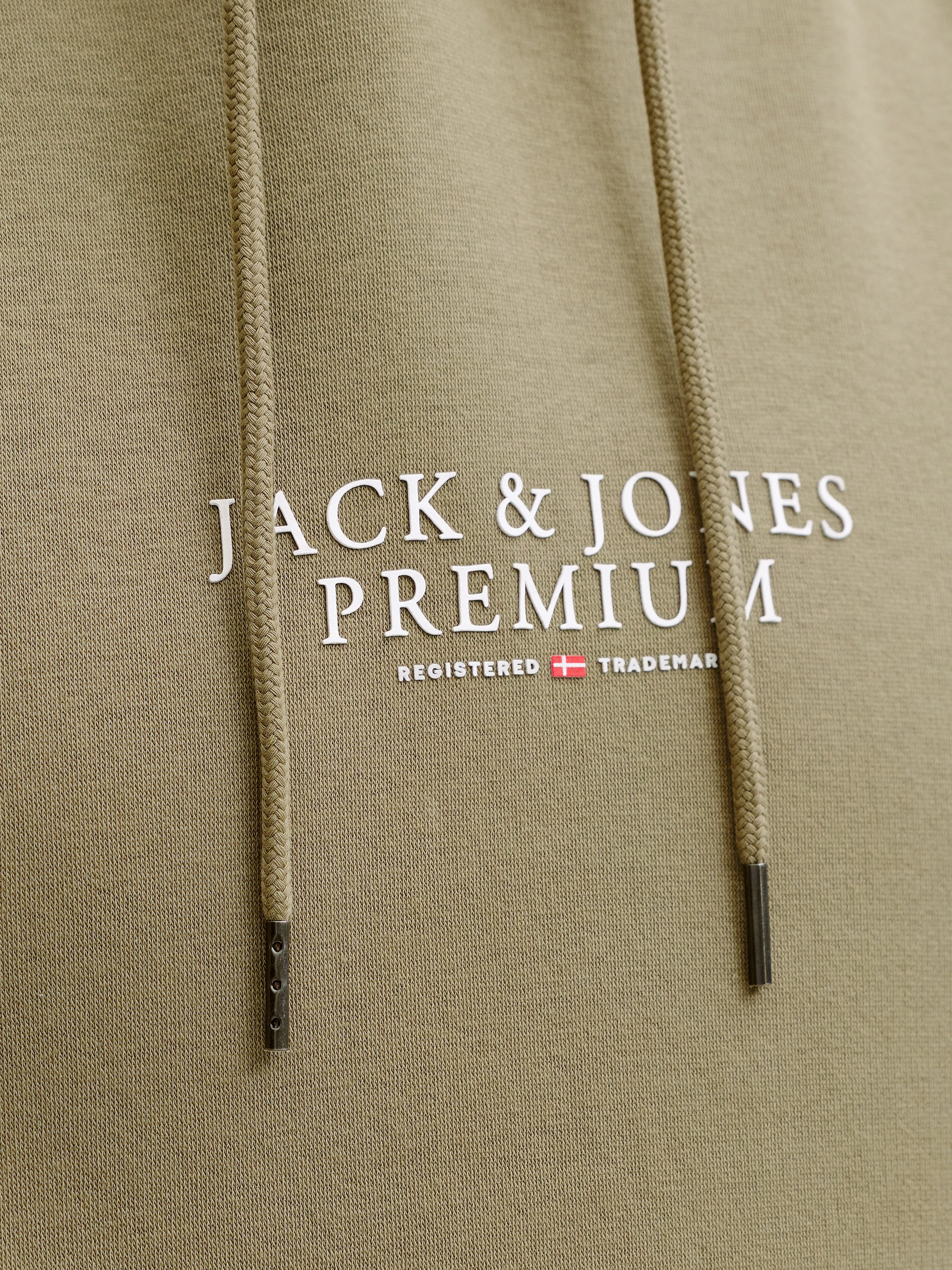 Jack & Jones Kapuzensweatshirt JPRBLUARCHIE SWEAT HOOD NOOS mit Logo Print