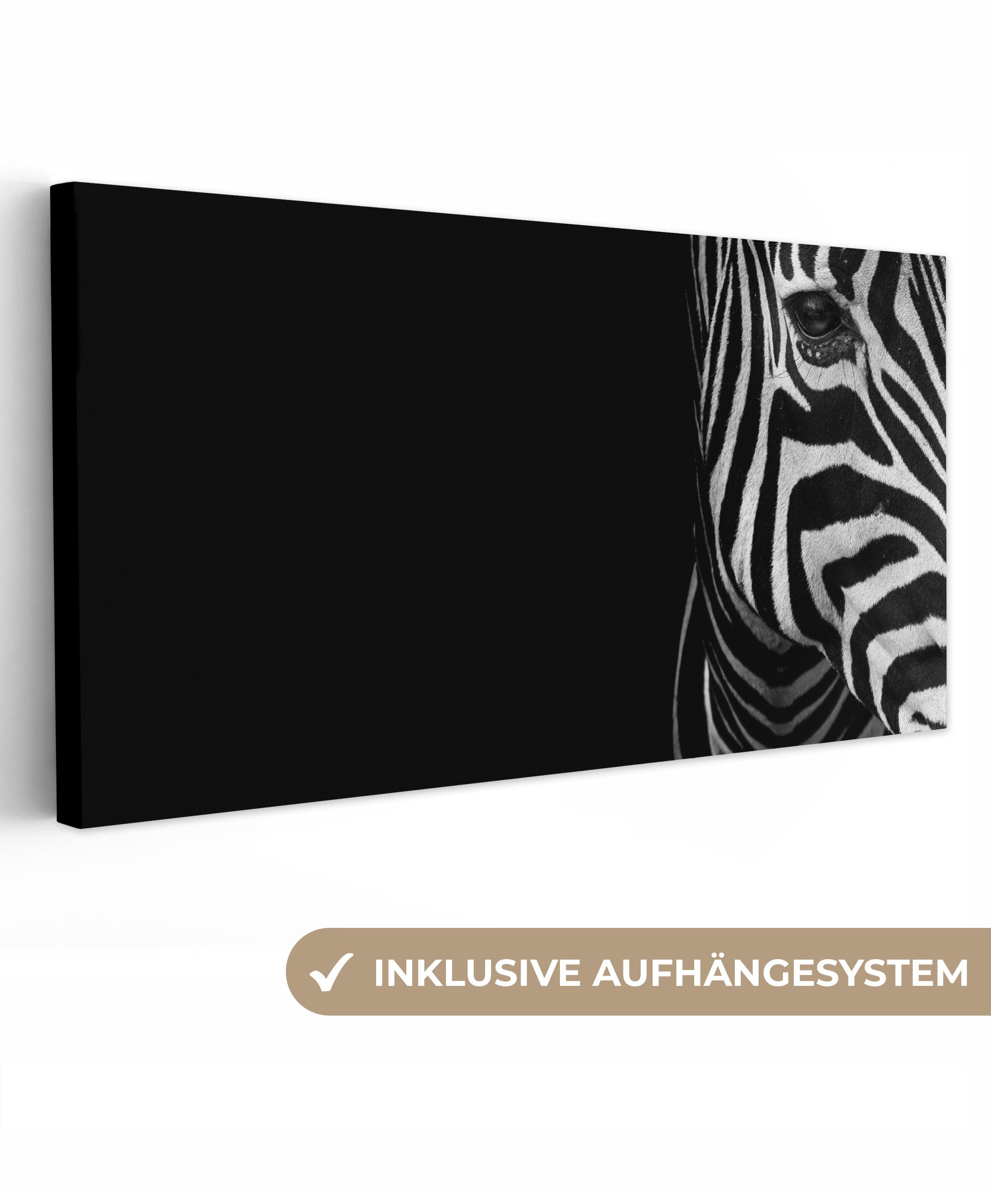 OneMillionCanvasses® Leinwandbild Panorama Tiere - Zebra günstig online kaufen