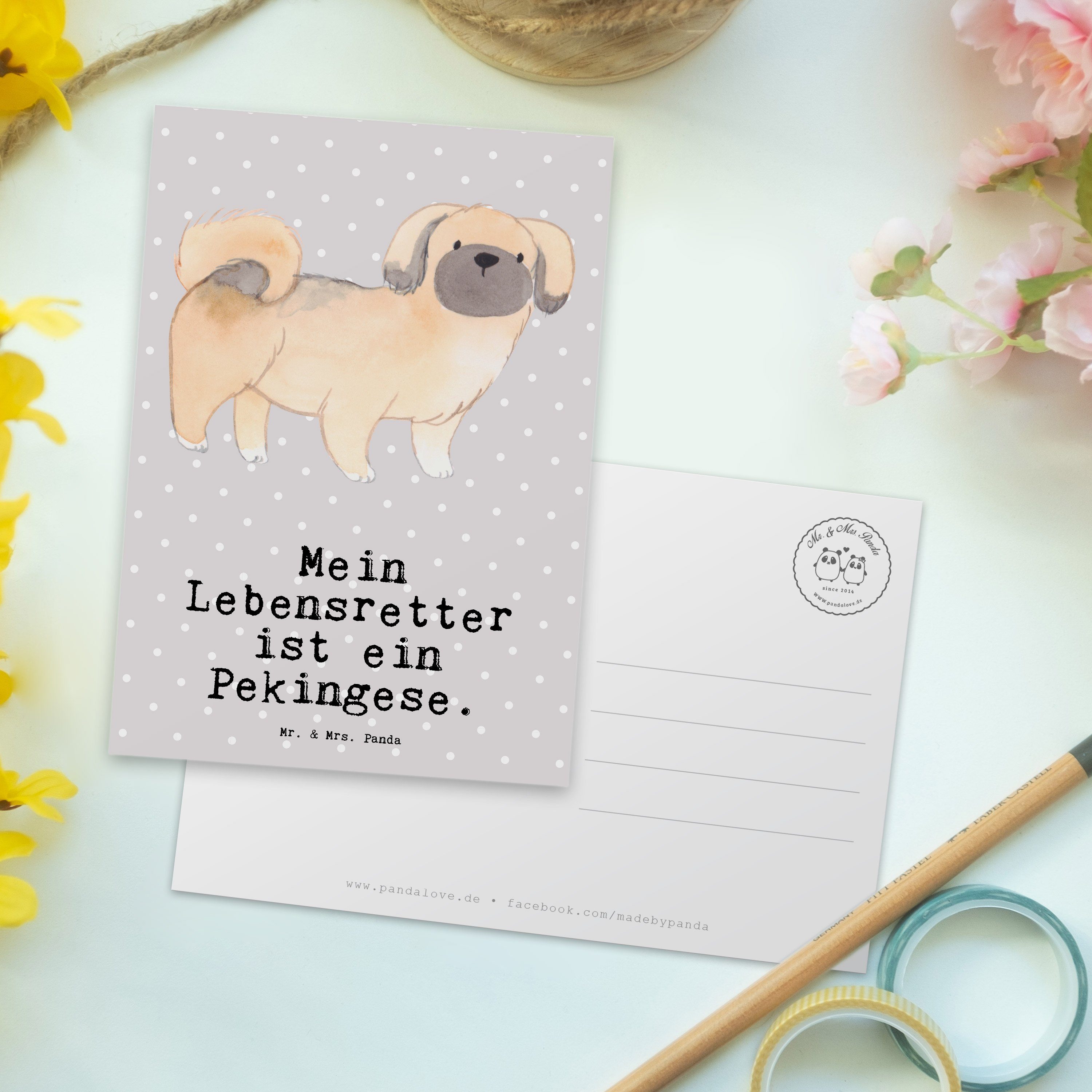 Geschenkkarte Lebensretter Panda Pekingese Hund, Mr. & Pastell Geschenk, Postkarte - - Mrs. Grau