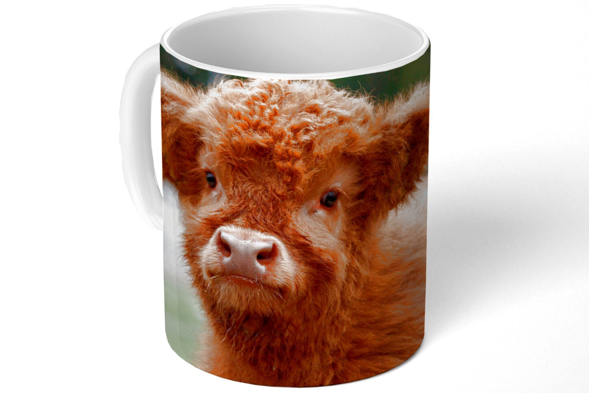 MuchoWow - Keramik, Kaffeetassen, Teetasse, Geschenk Tasse Kalb Highlander Scottish Teetasse, Gras, - Becher,