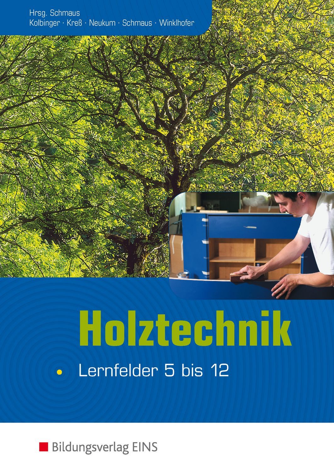Holztechnik / Michael Neukum, Jürgen Schmaus, Peter Winklhofer, Anton Kolbinger, Gerd Kress, Lernfeld 5-12 Schulbuch