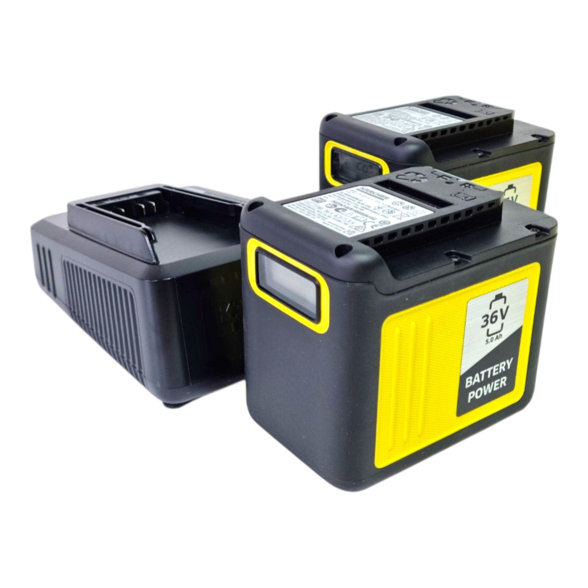 Kärcher Professional Kärcher Starter Kit Battery Power 2x 36/50 Ladegerät + 2x Akku 5,0 Ah Schnelllade-Gerät