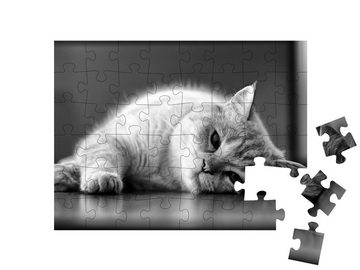 puzzleYOU Puzzle Schläfrige Katze, schwarz-weiß, 48 Puzzleteile, puzzleYOU-Kollektionen Katzen-Puzzles