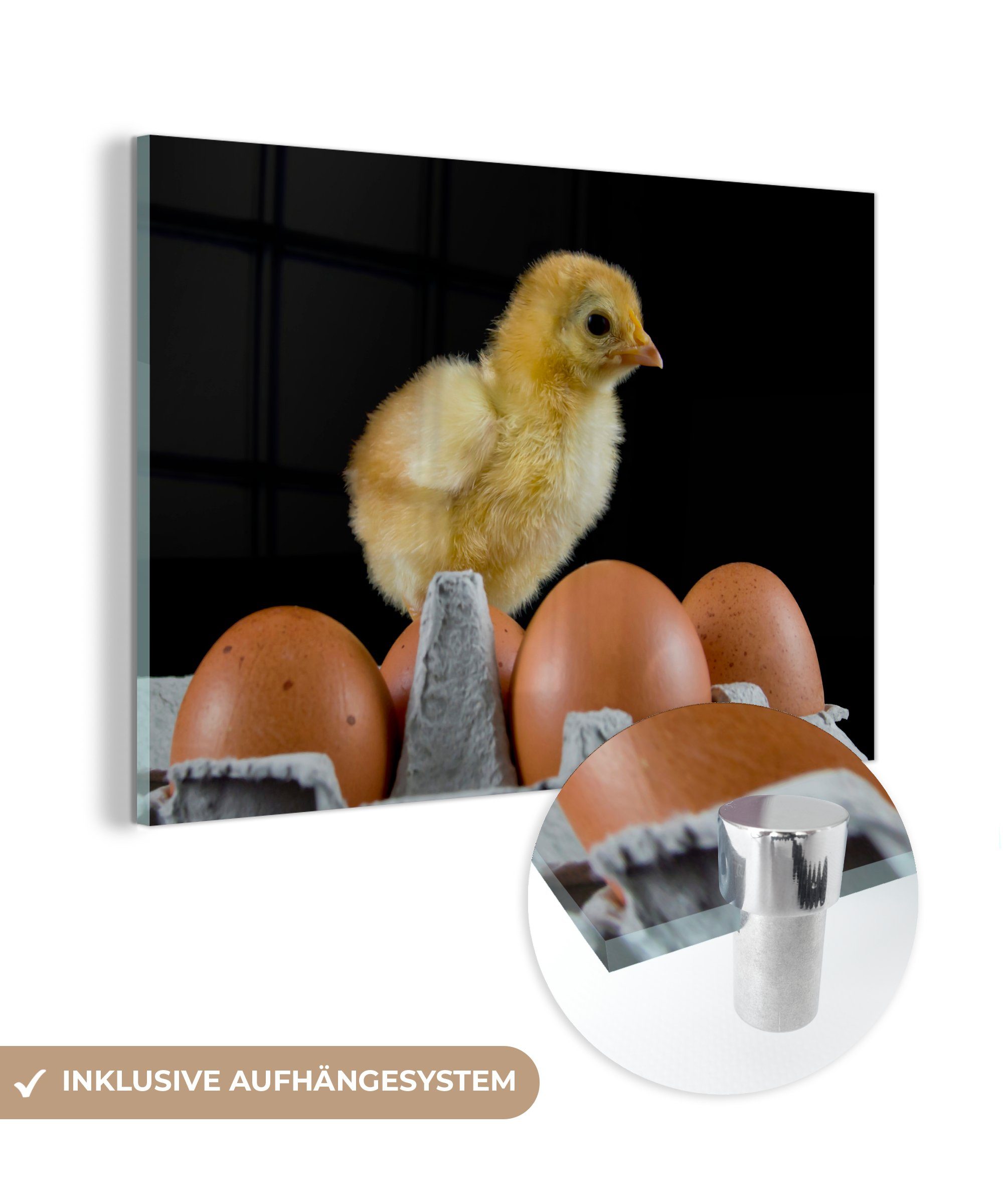 MuchoWow Acrylglasbild Ein Küken auf einem Ei auf schwarzem Hintergrund, (1 St), Acrylglasbilder Wohnzimmer & Schlafzimmer