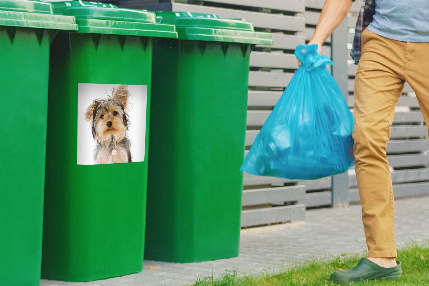 Mülleimer-aufkleber, Mülltonne, Container, Wandsticker MuchoWow Yorkshire-Terriers Abfalbehälter St), (1 Porträt eines Sticker,