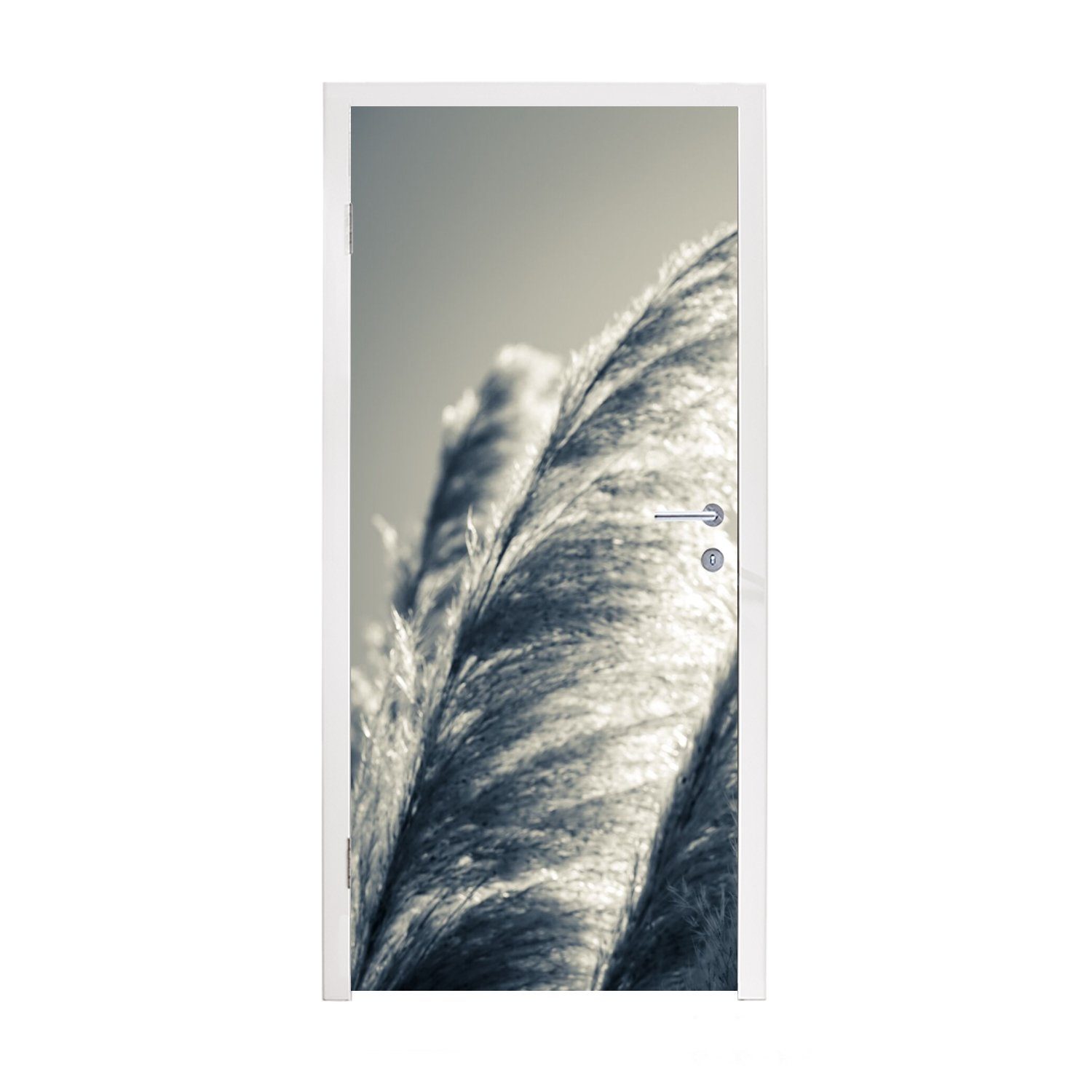 Fototapete (1 Schwarz - bedruckt, für Natur, Weiß - Matt, 75x205 Türtapete MuchoWow Türaufkleber, - Tür, St), Pampasgras cm