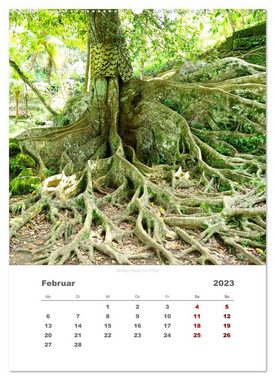CALVENDO Wandkalender Reiseimpressionen durch Bali (Premium, hochwertiger DIN A2 Wandkalender 2023, Kunstdruck in Hochglanz)