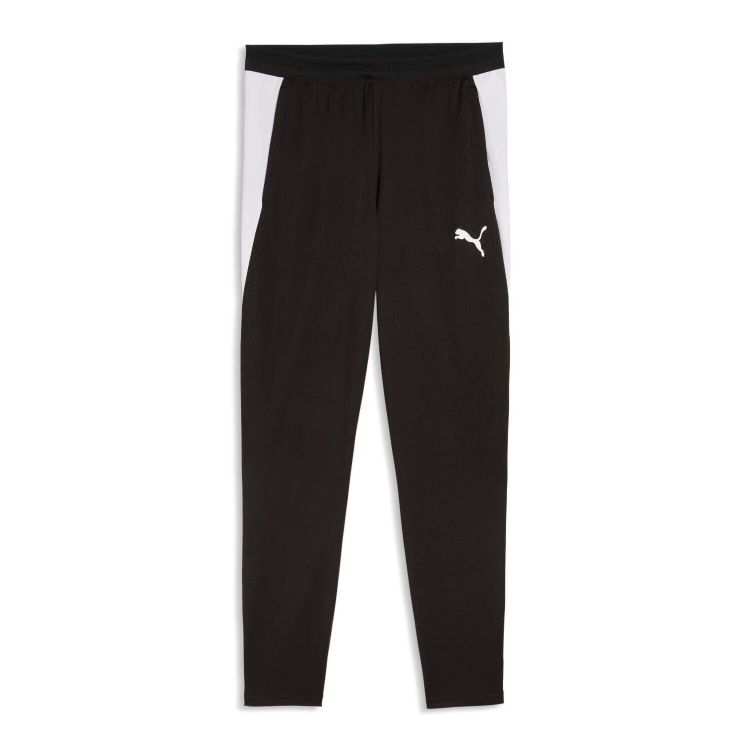 Trainingshose Puma Herren Trainingshose teamFINAL26 659688