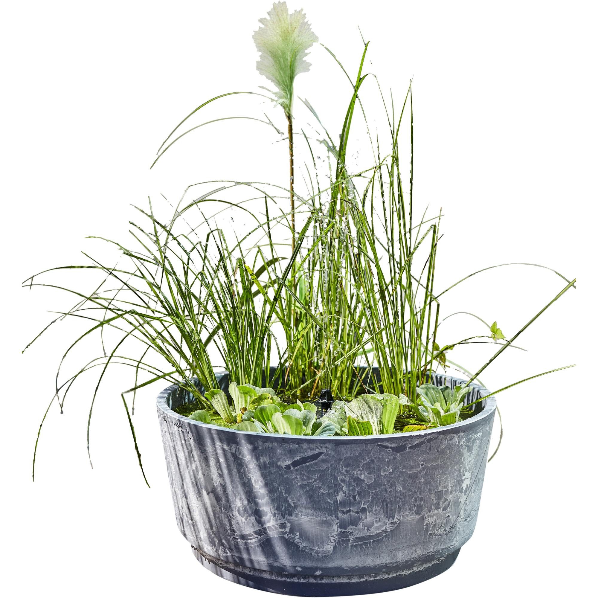 Heissner Gartenbrunnen Solar Wassergarten AQUATOPIA inkl. Wasserspielpump, günstig online kaufen