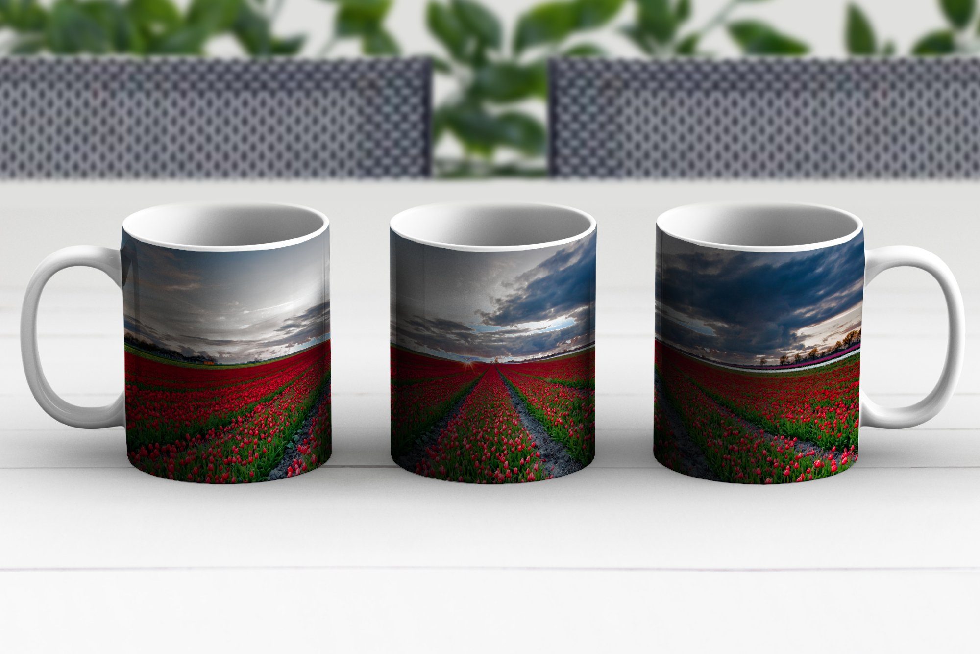 der Becher, Keramik, Tulpenfeld im Ein Teetasse, Niederlande, Tasse Nordosten Geschenk Teetasse, rotes Kaffeetassen, MuchoWow