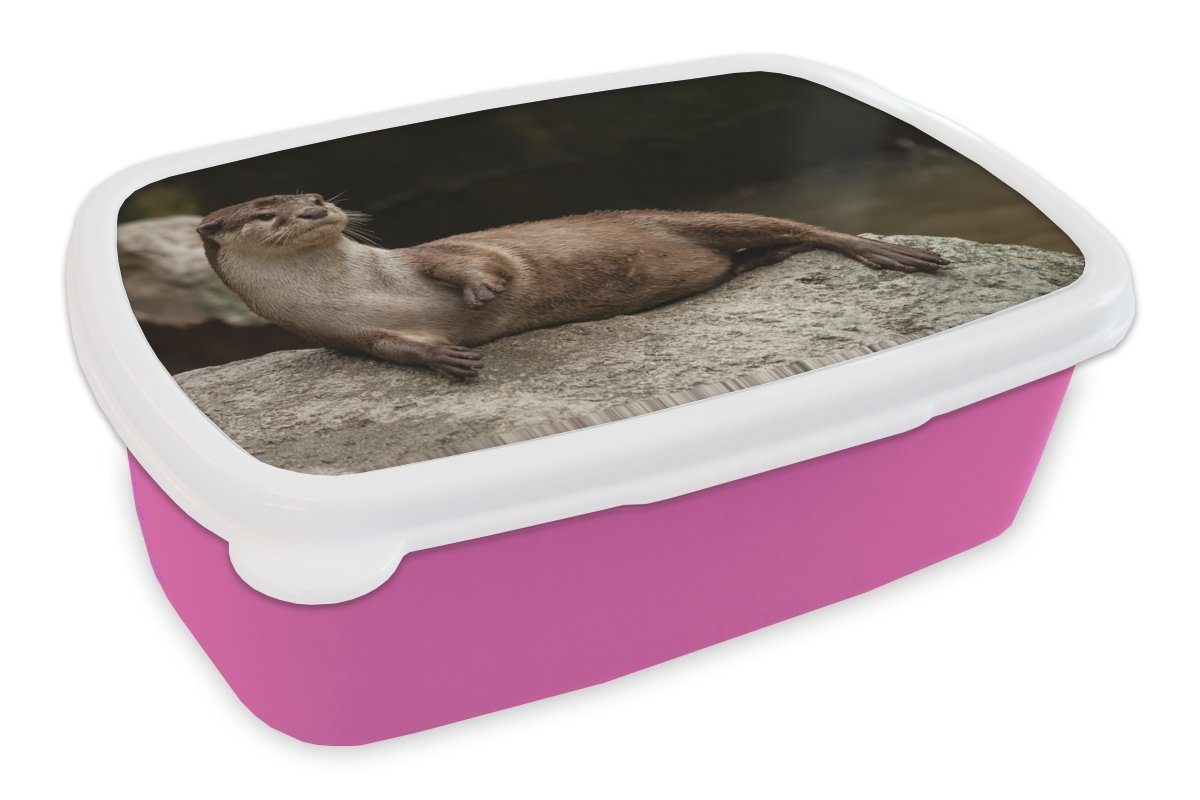 MuchoWow Lunchbox Otter auf Stein, Snackbox, für Mädchen, Brotdose Kunststoff, Erwachsene, Kinder, Kunststoff Brotbox rosa (2-tlg)