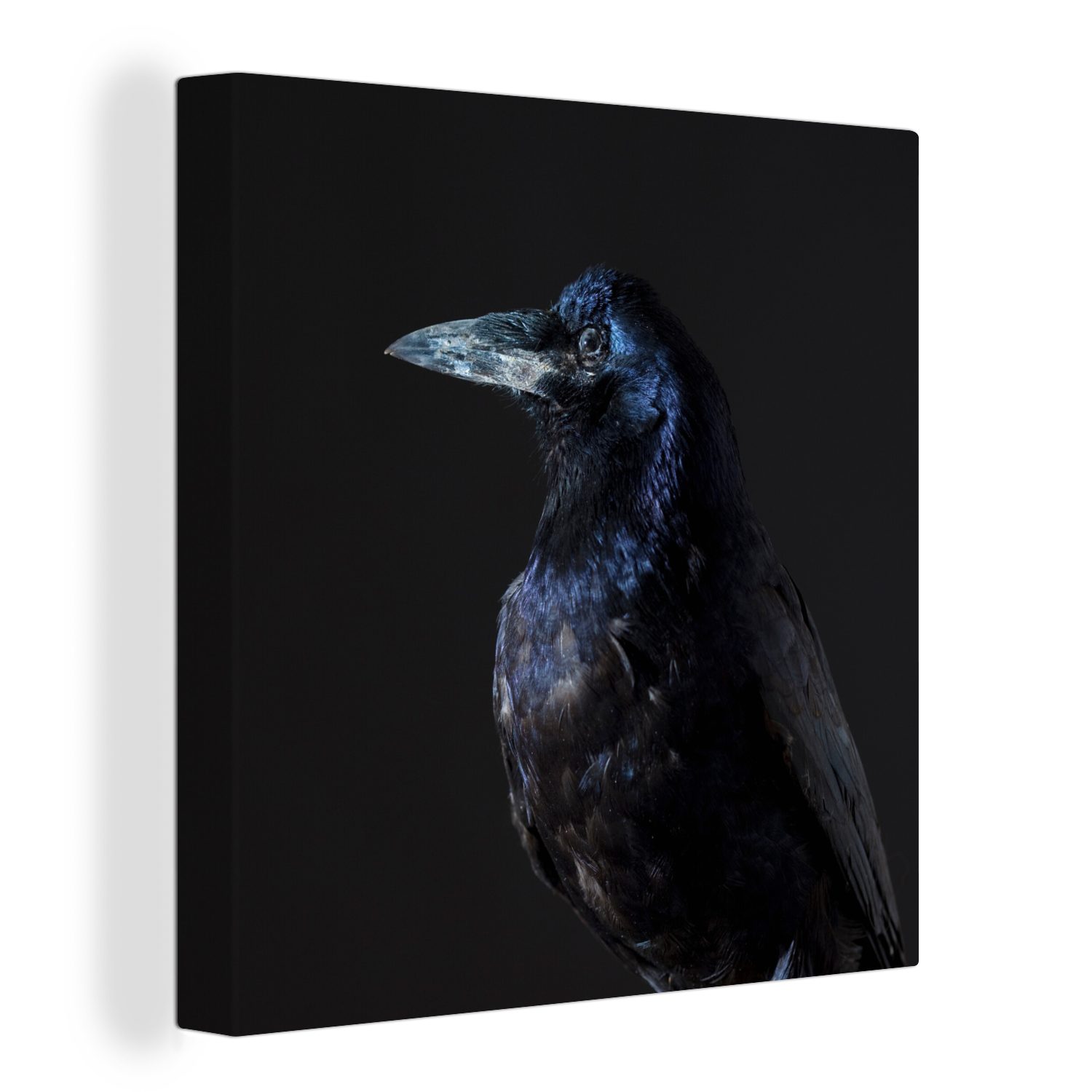 OneMillionCanvasses® Leinwandbild Vogel - Tiere - Schwarz, (1 St), Leinwand Bilder für Wohnzimmer Schlafzimmer